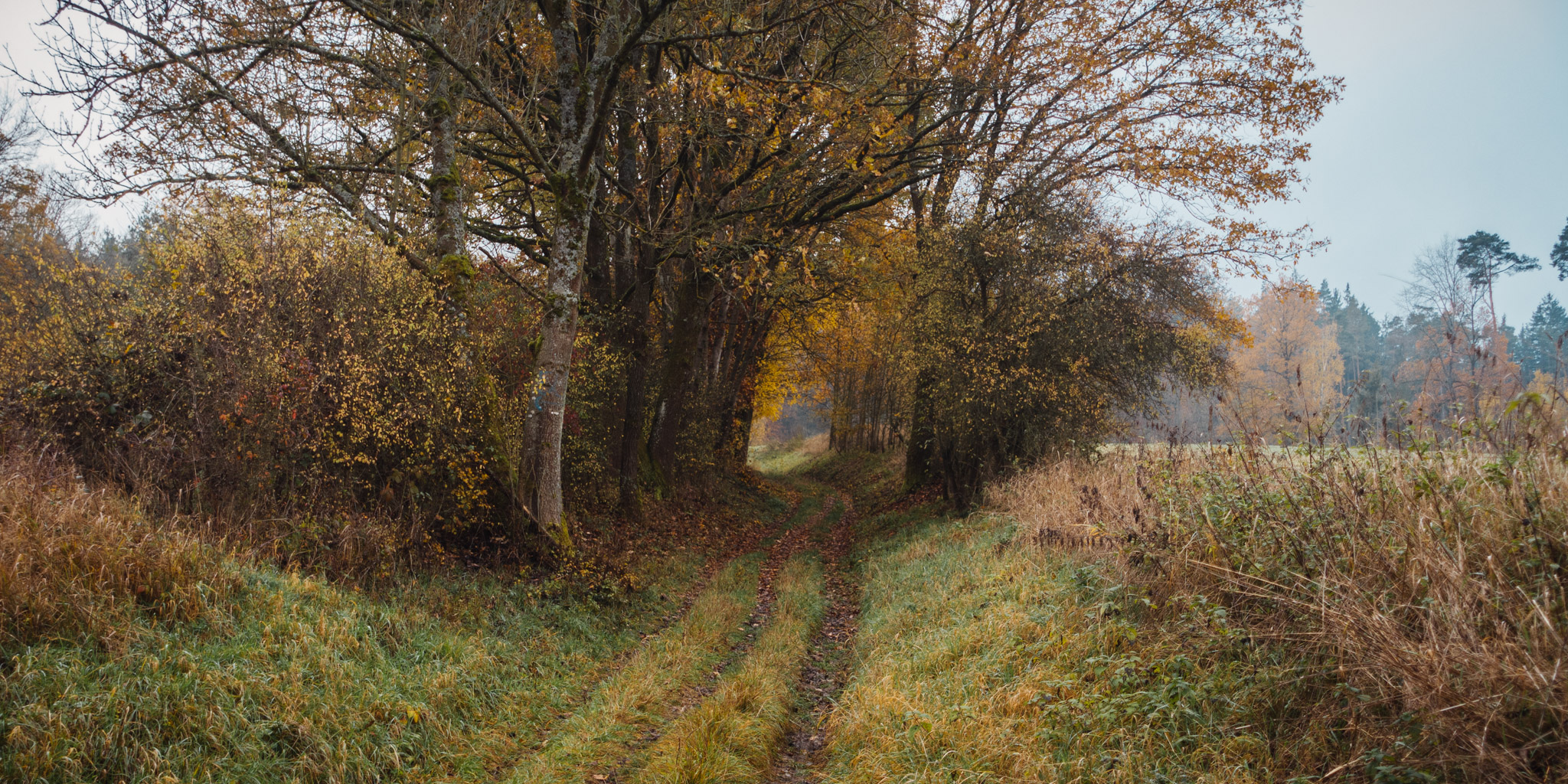 2019-11-10_Hersbruck-0001