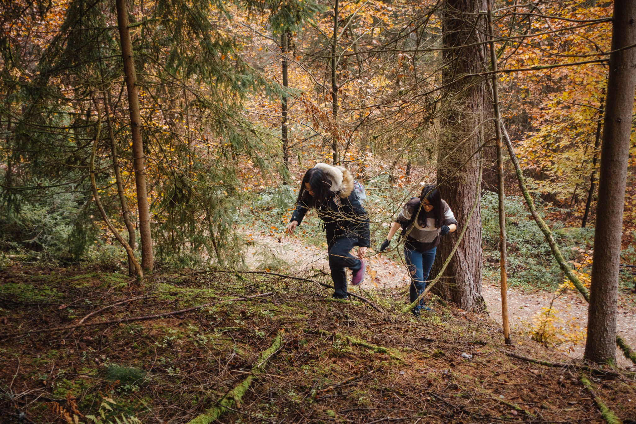 2019-11-10_Hersbruck-0026