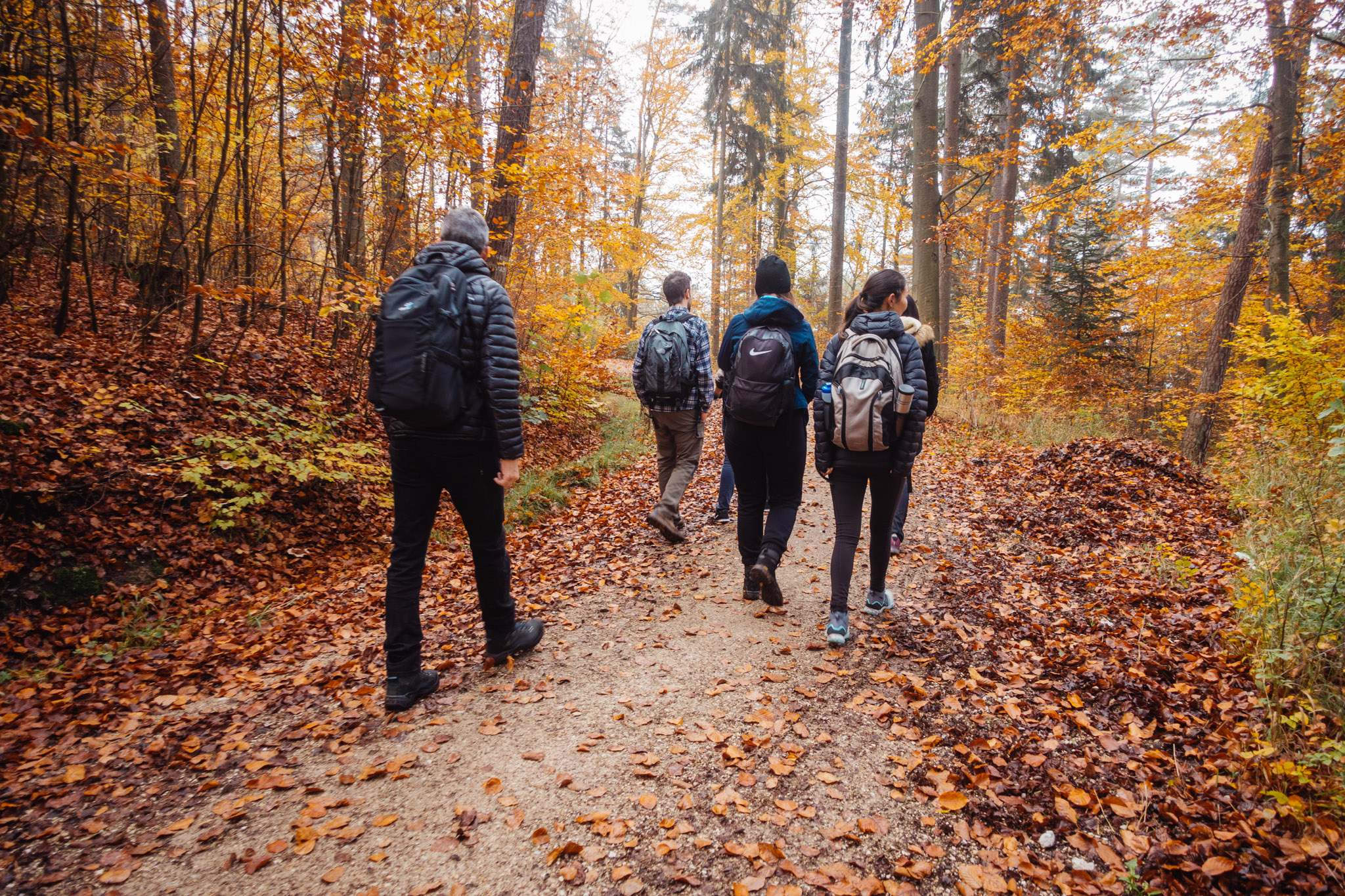 2019-11-10_Hersbruck-0046