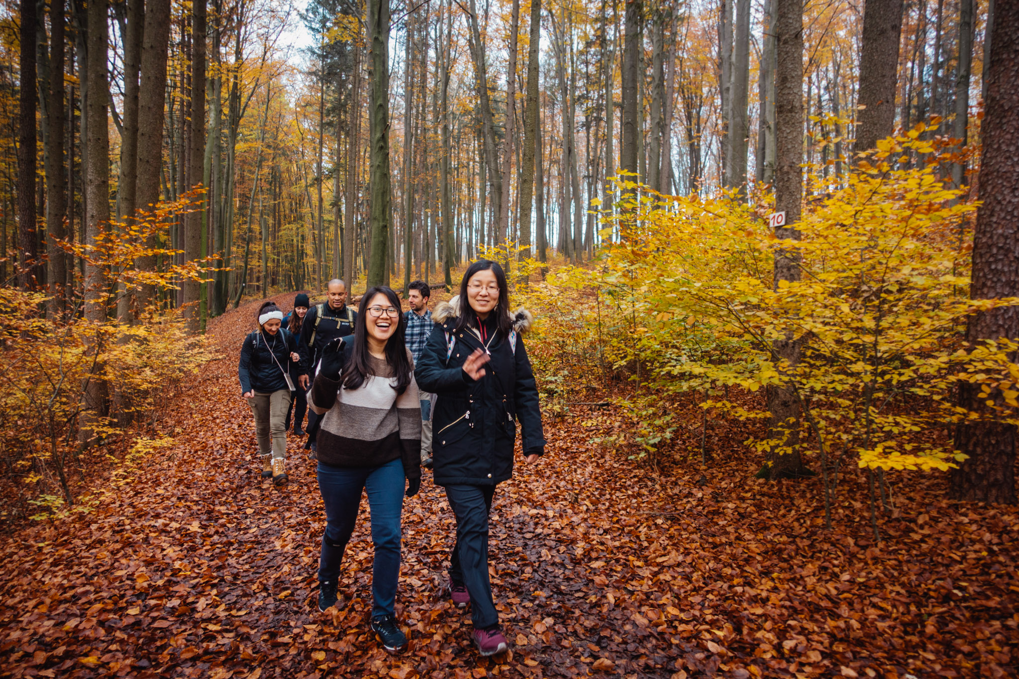 2019-11-10_Hersbruck-0052