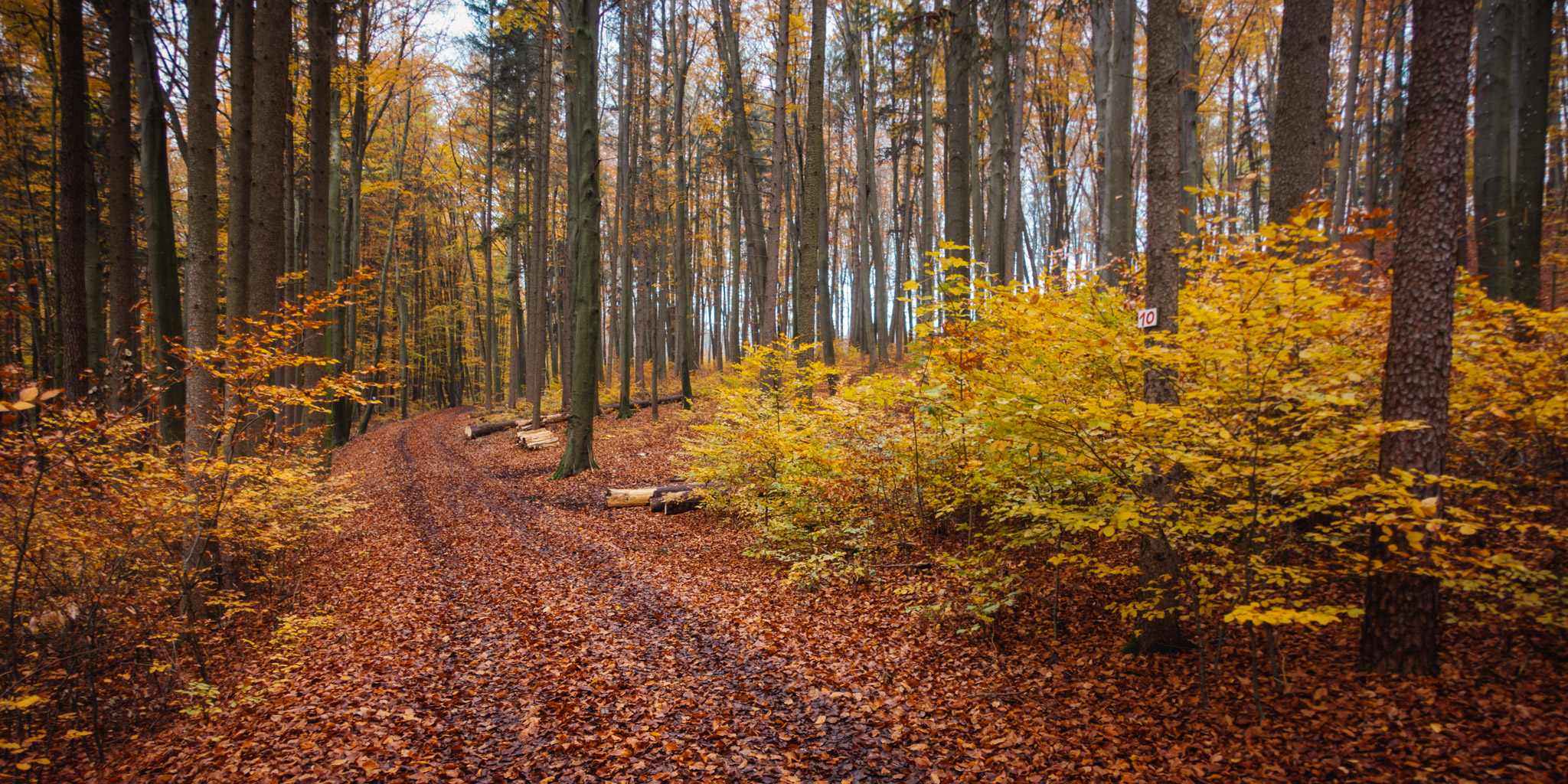 2019-11-10_Hersbruck-0060