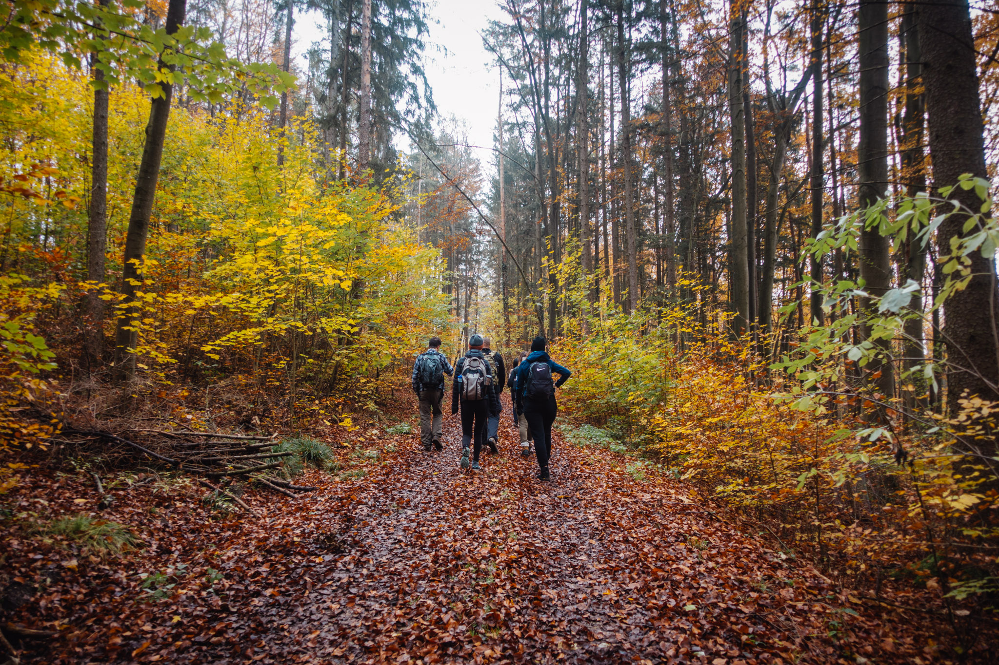 2019-11-10_Hersbruck-0063