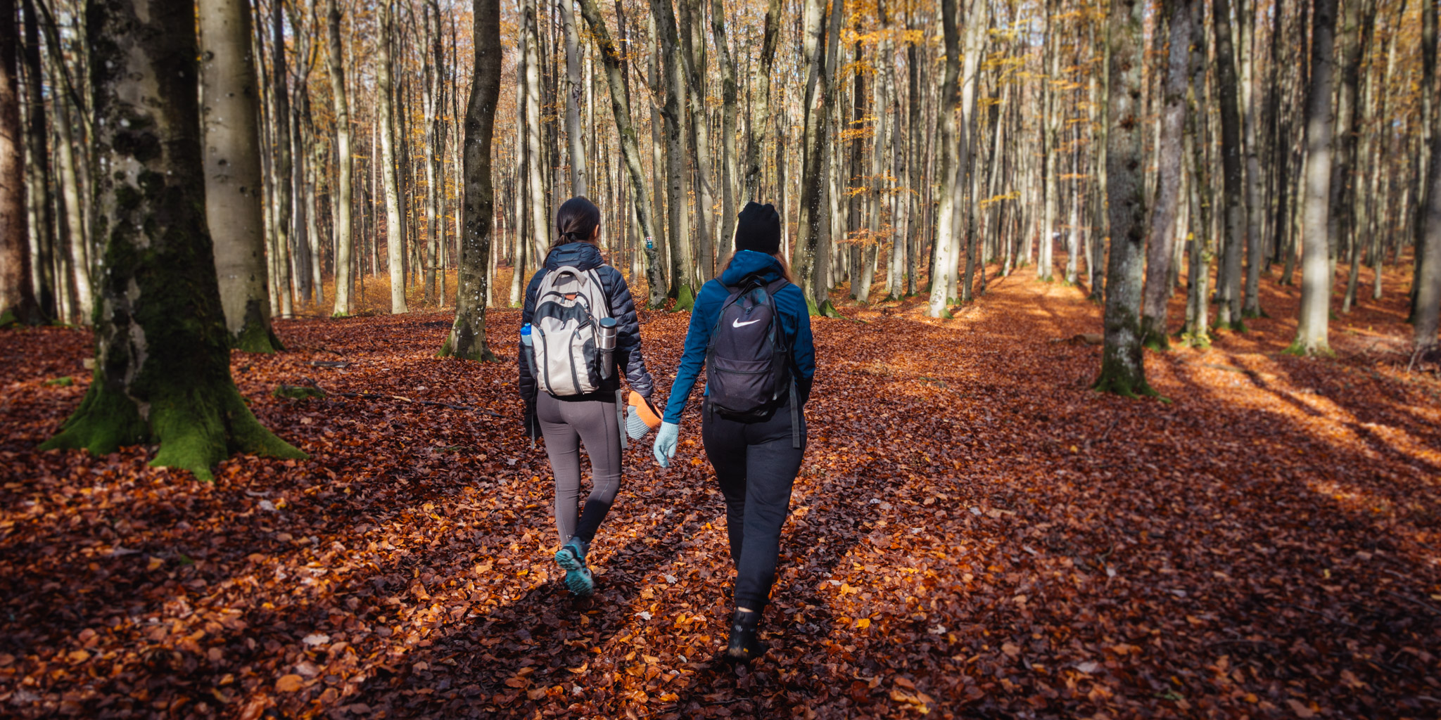 2019-11-10_Hersbruck-0076