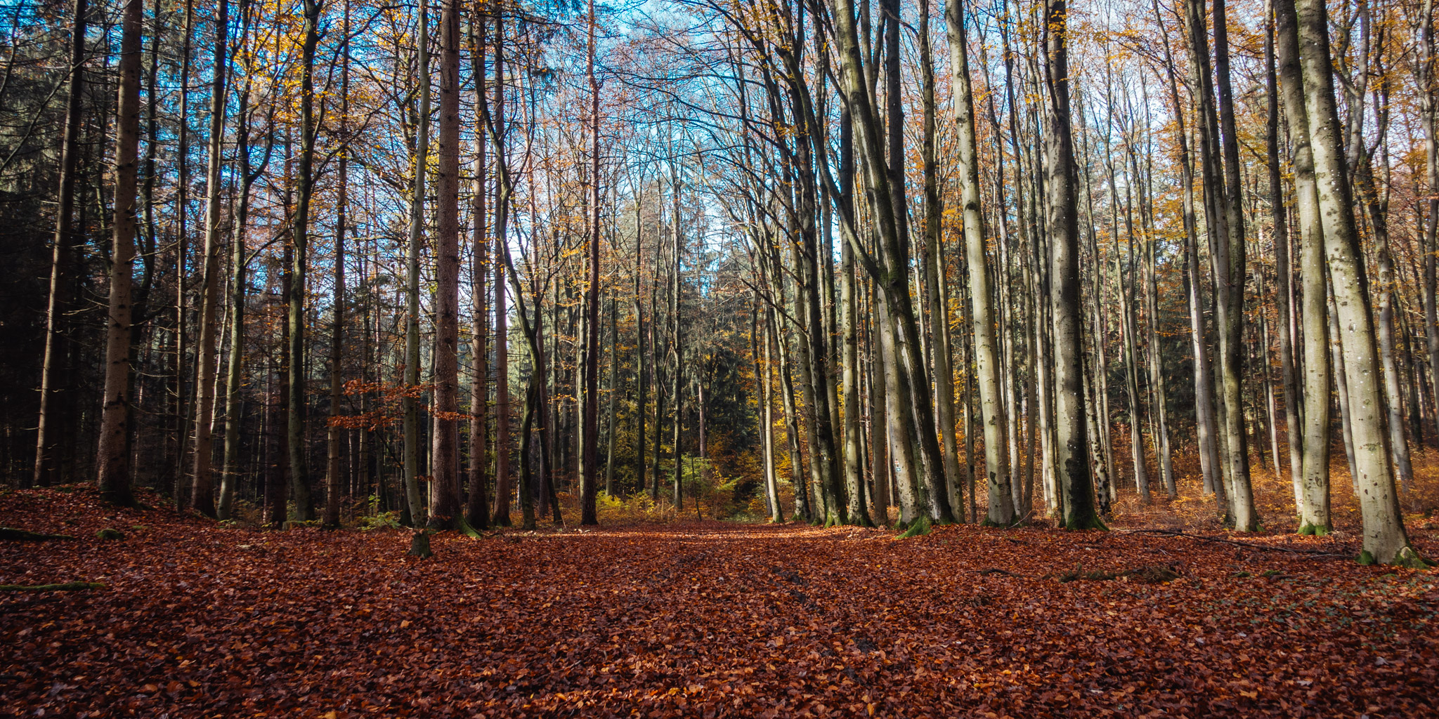 2019-11-10_Hersbruck-0086