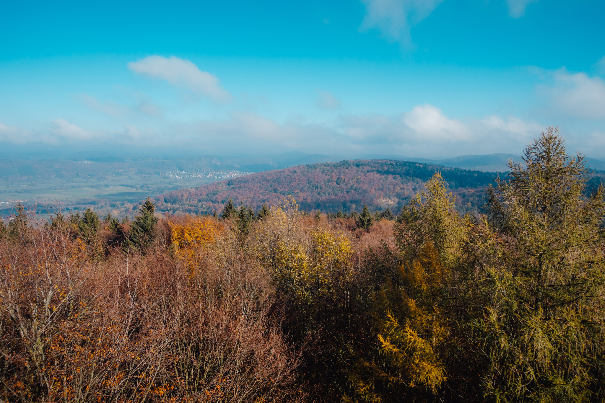 2019-11-10_Hersbruck-0116