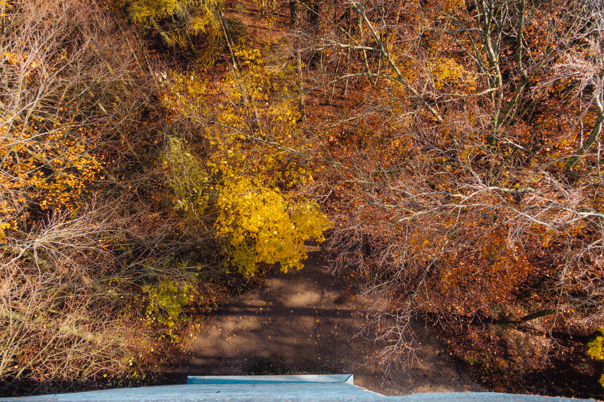 2019-11-10_Hersbruck-0119