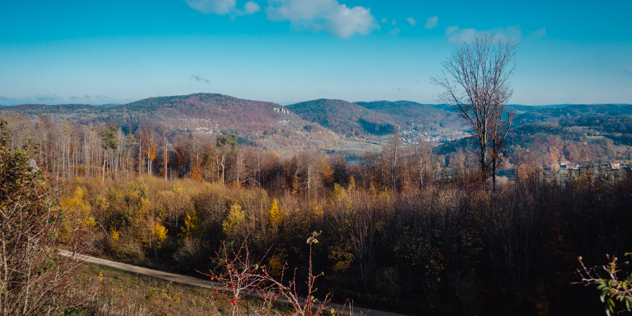2019-11-10_Hersbruck-0199