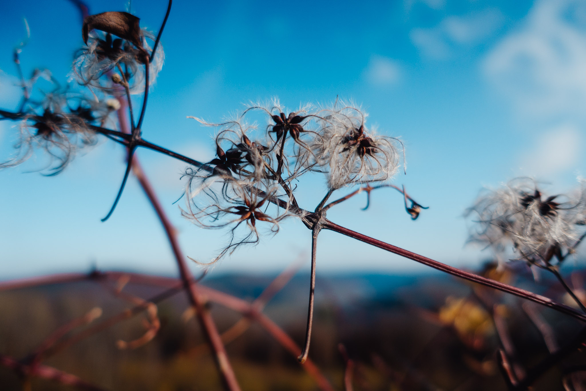 2019-11-10_Hersbruck-0203