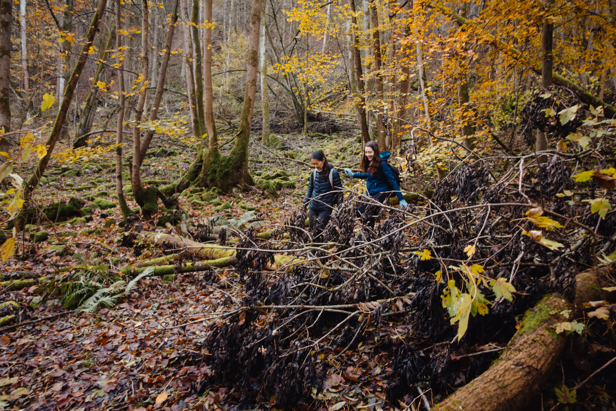 2019-11-10_Hersbruck-0209