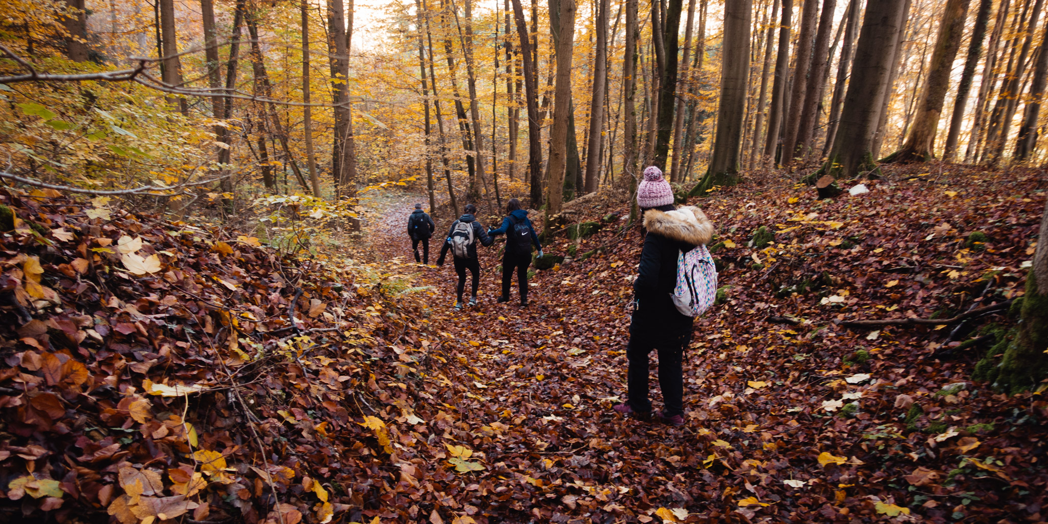 2019-11-10_Hersbruck-0229