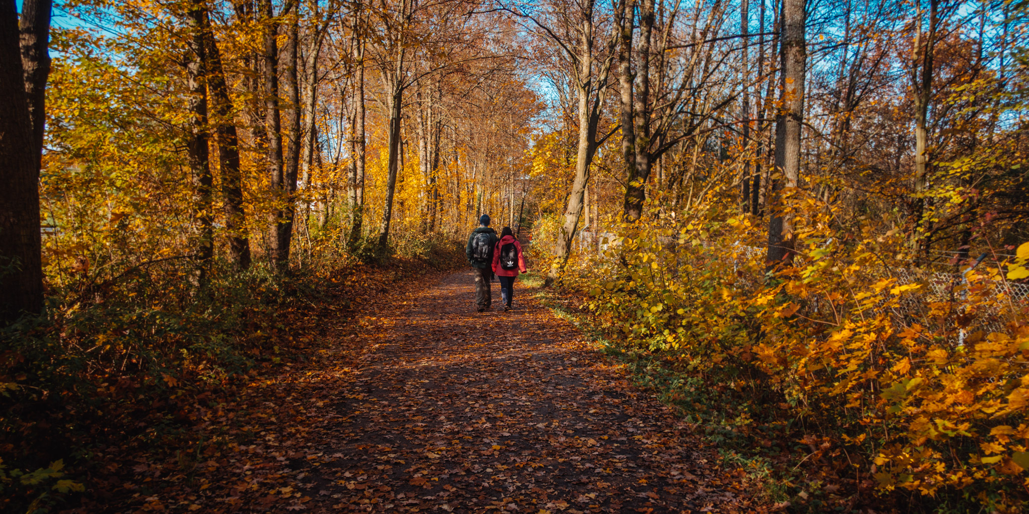 2019-11-10_Hersbruck-0317