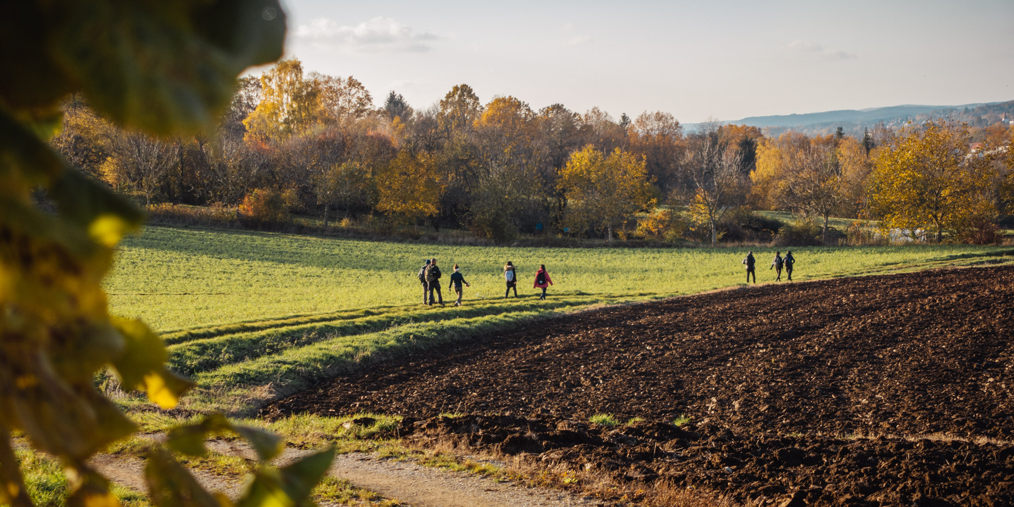 2019-11-10_Hersbruck-0352