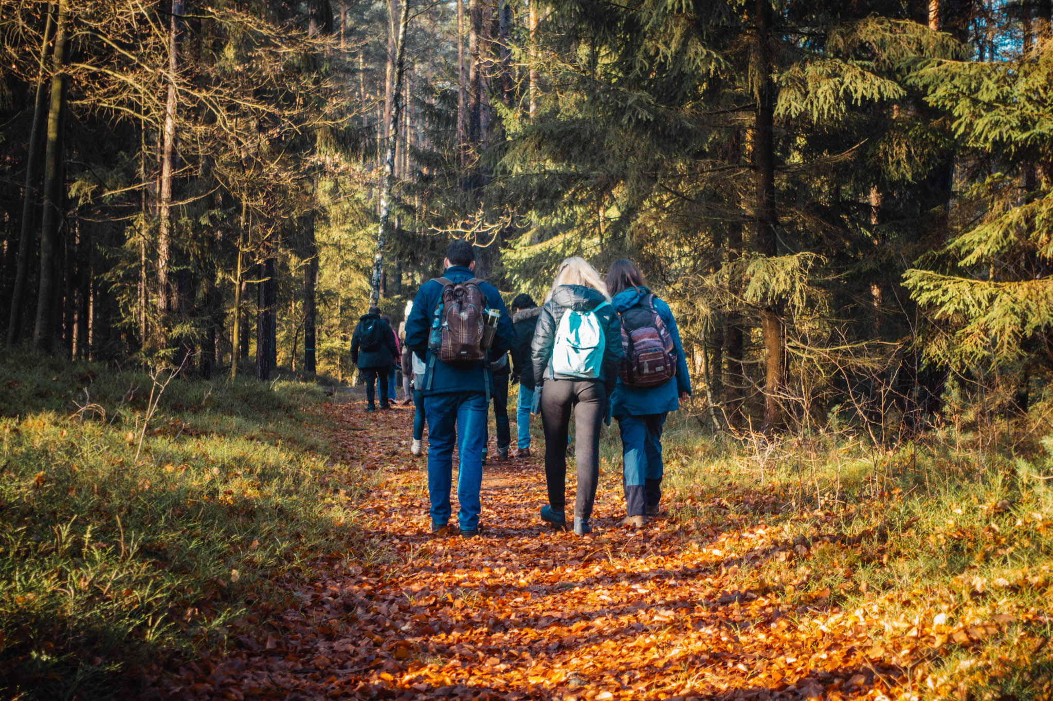 2020-01-06 Heinersreuth winter hike-0066