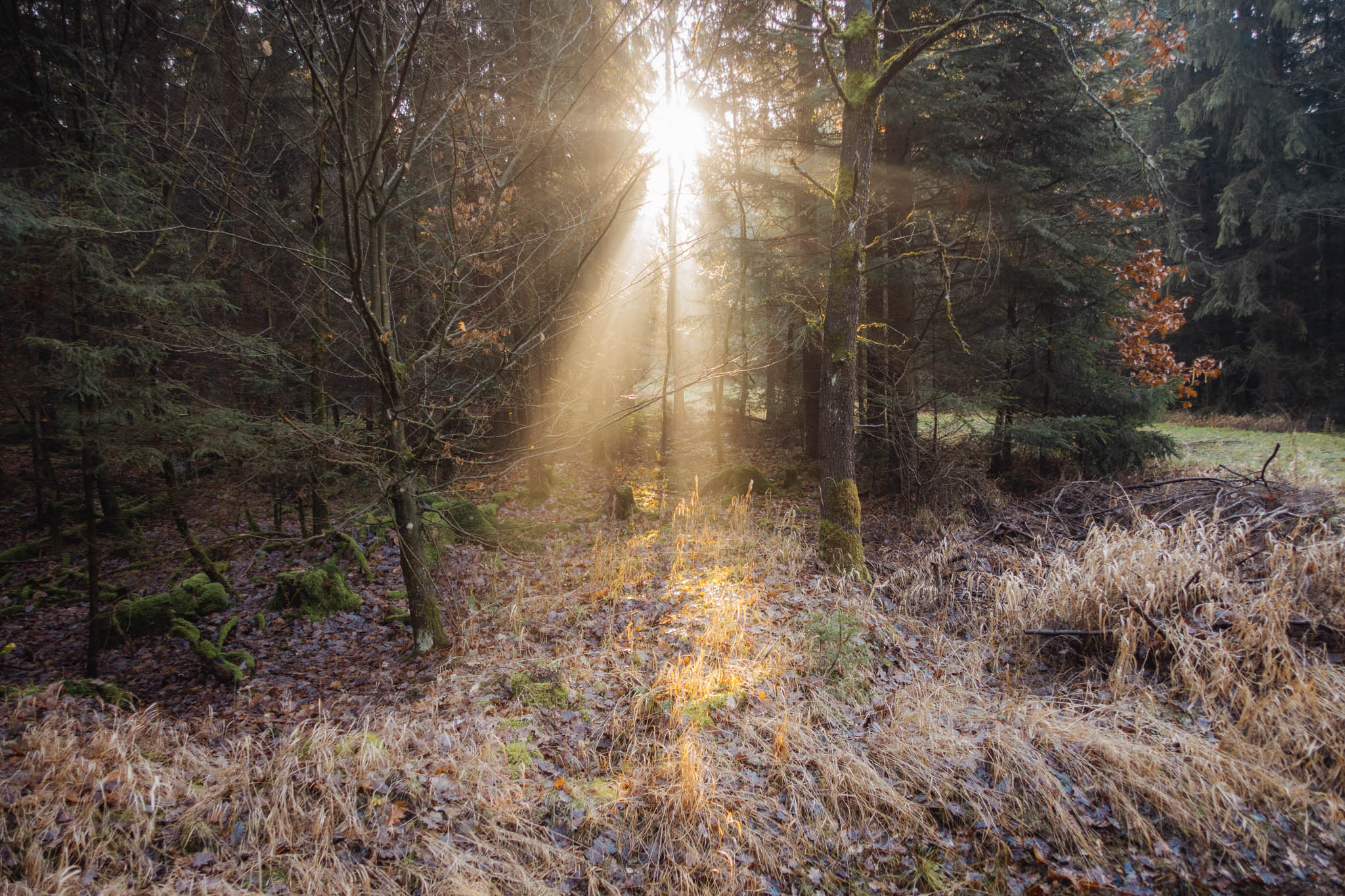 2020-01-06 Heinersreuth winter hike-0083