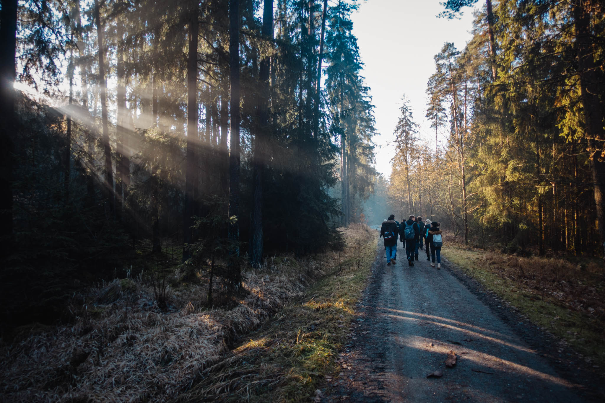 2020-01-06 Heinersreuth winter hike-0094