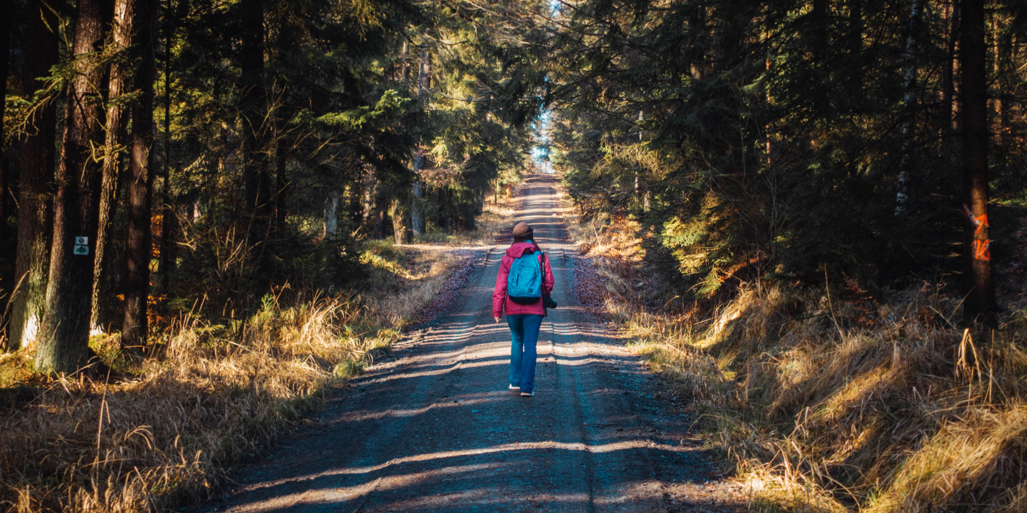 2020-01-06 Heinersreuth winter hike-0104