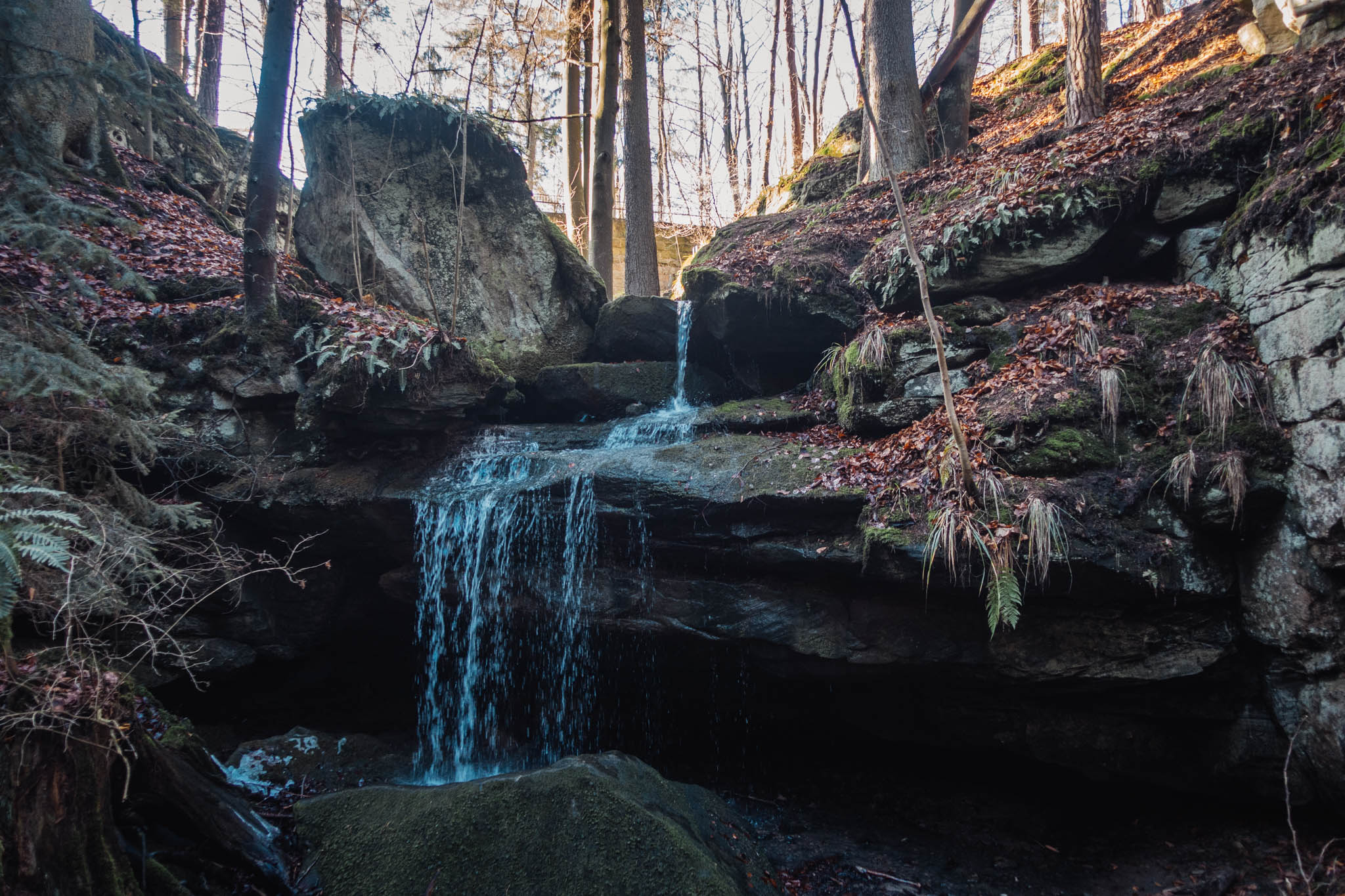 2020-01-06 Heinersreuth winter hike-0155