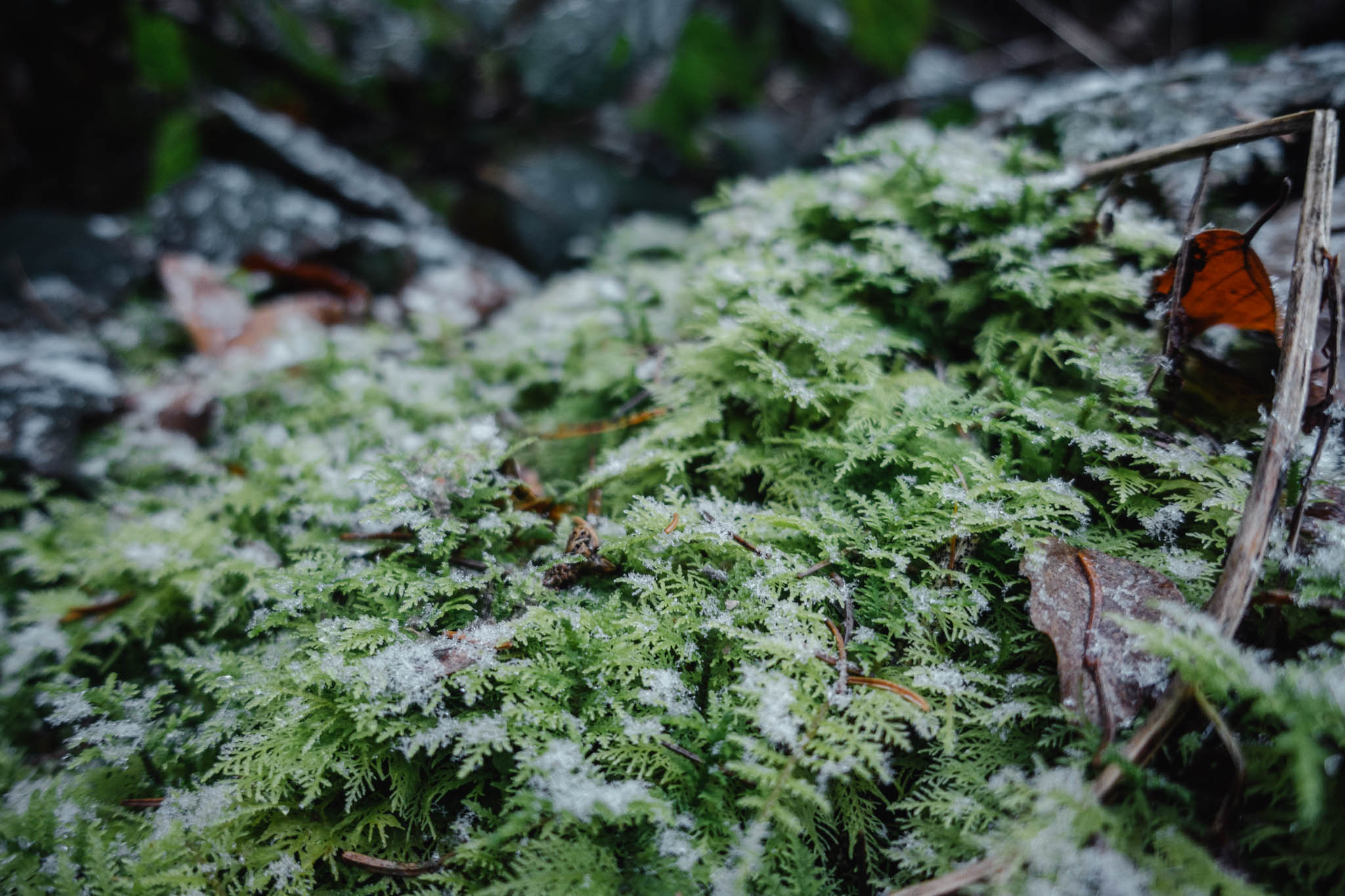 2020-01-06 Heinersreuth winter hike-0161