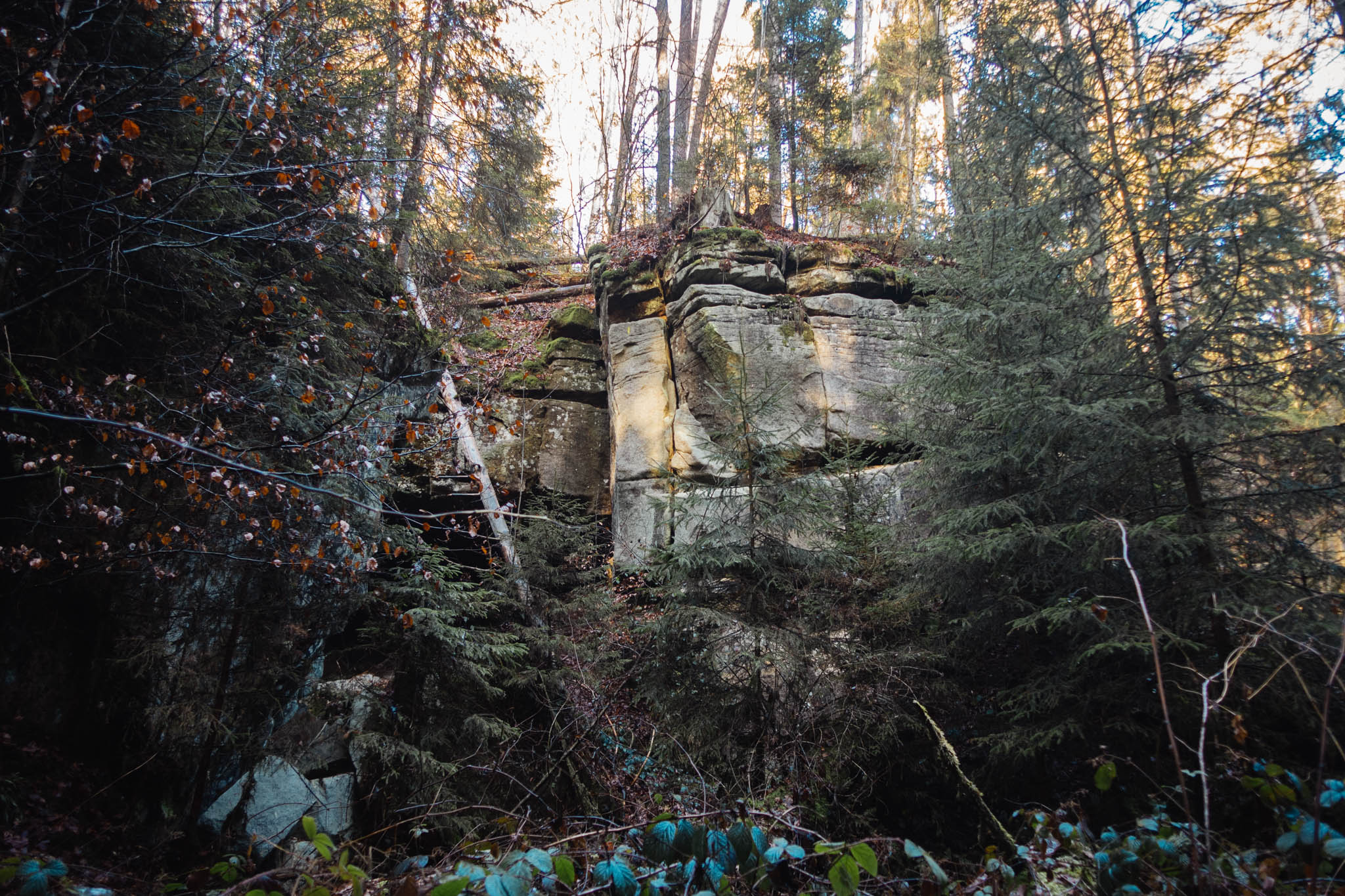 2020-01-06 Heinersreuth winter hike-0163