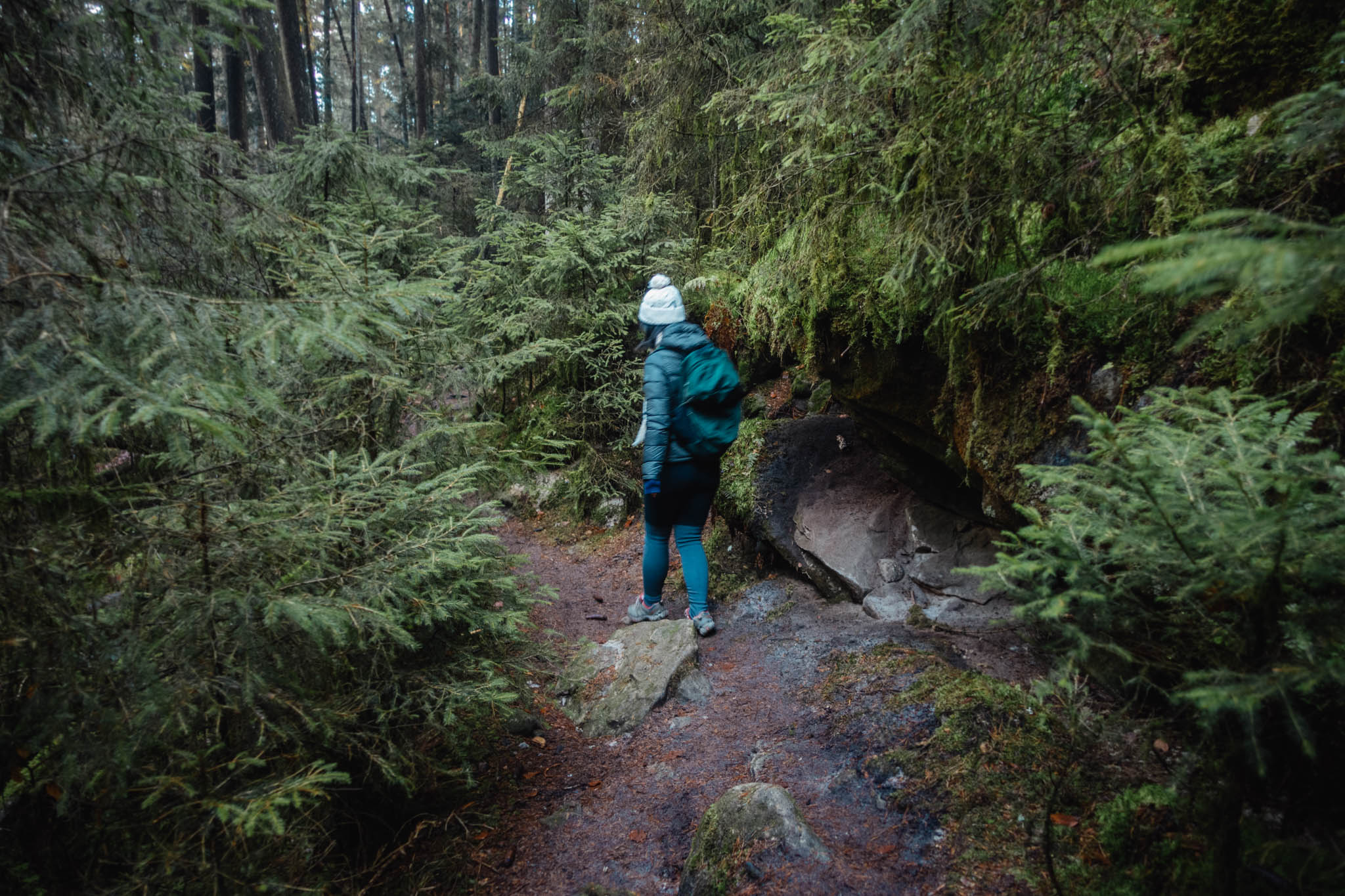2020-01-06 Heinersreuth winter hike-0203