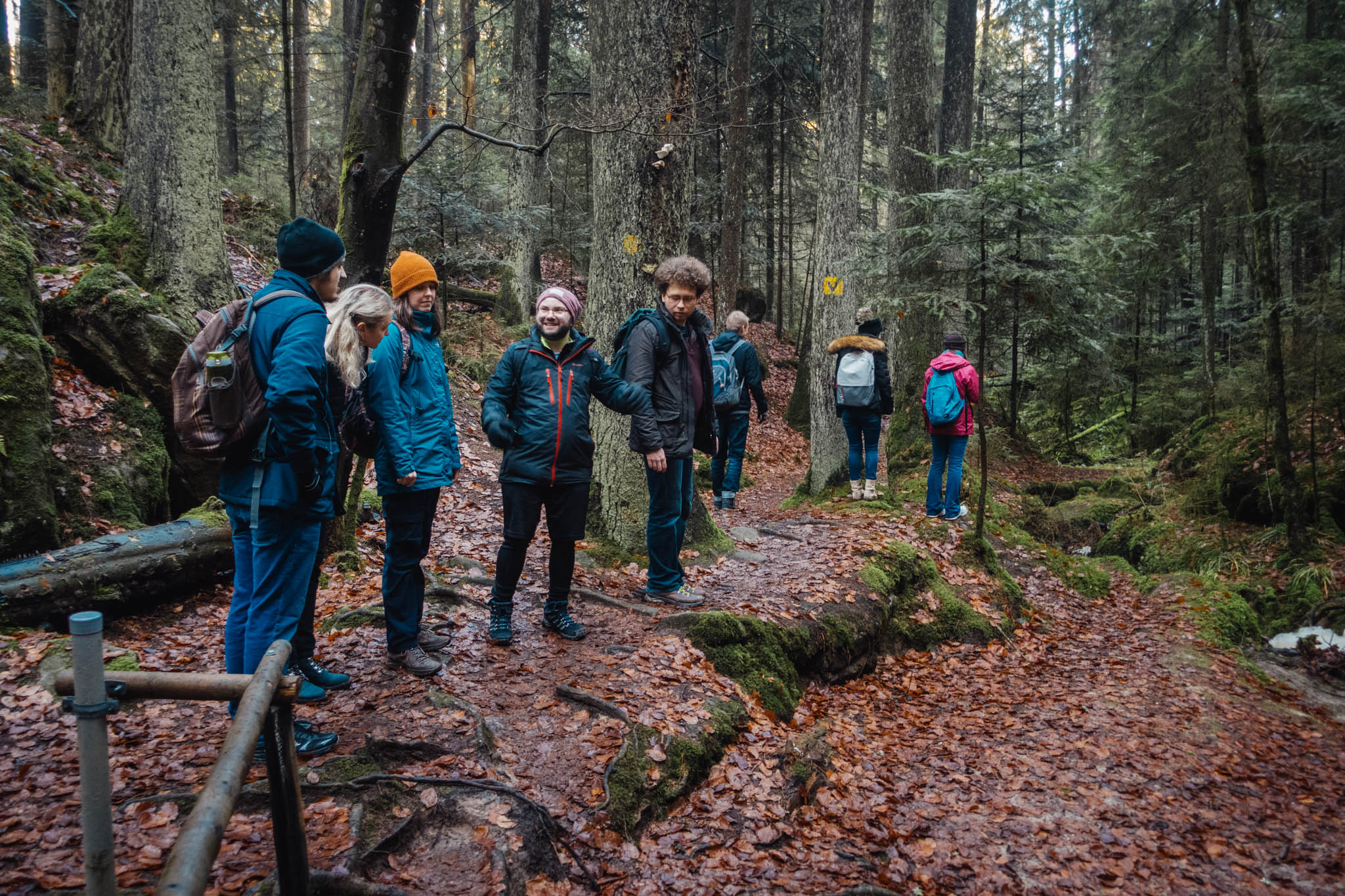 2020-01-06 Heinersreuth winter hike-0216