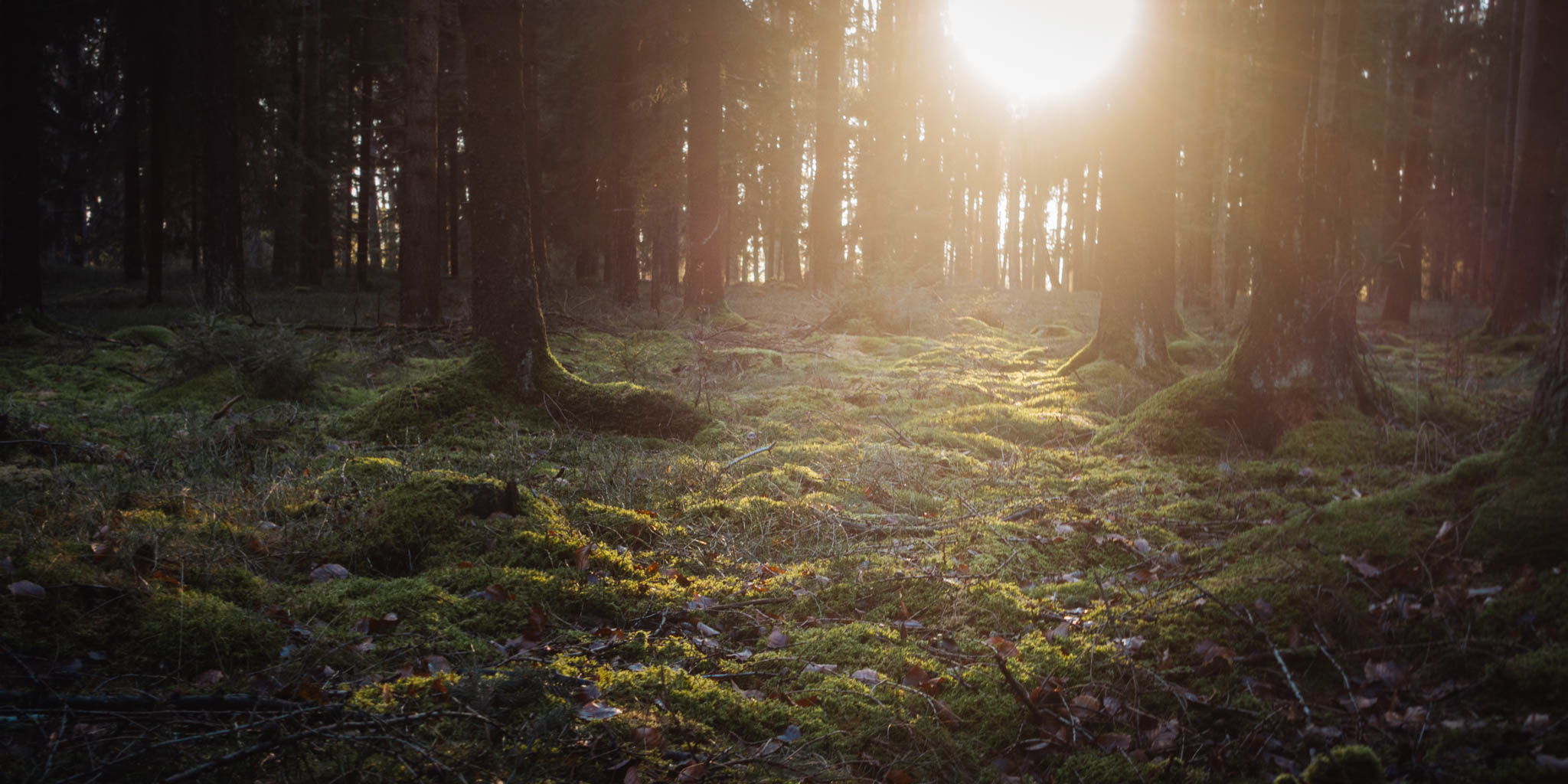 2020-01-06 Heinersreuth winter hike-0254