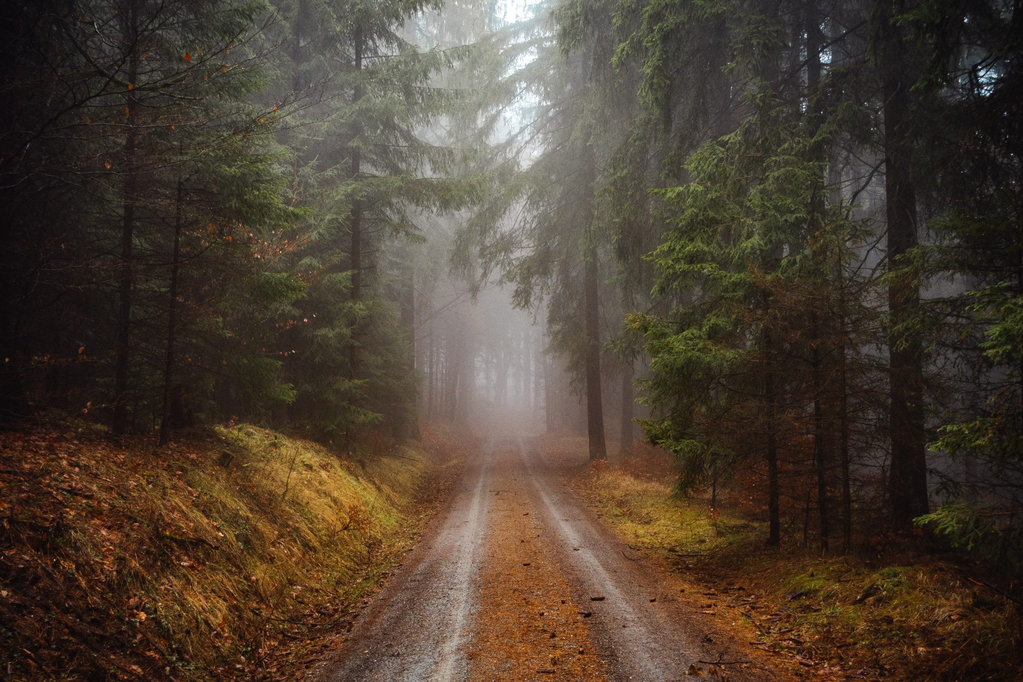 [New route] Weidenberg - Ochsenkopf - Fichtelsee