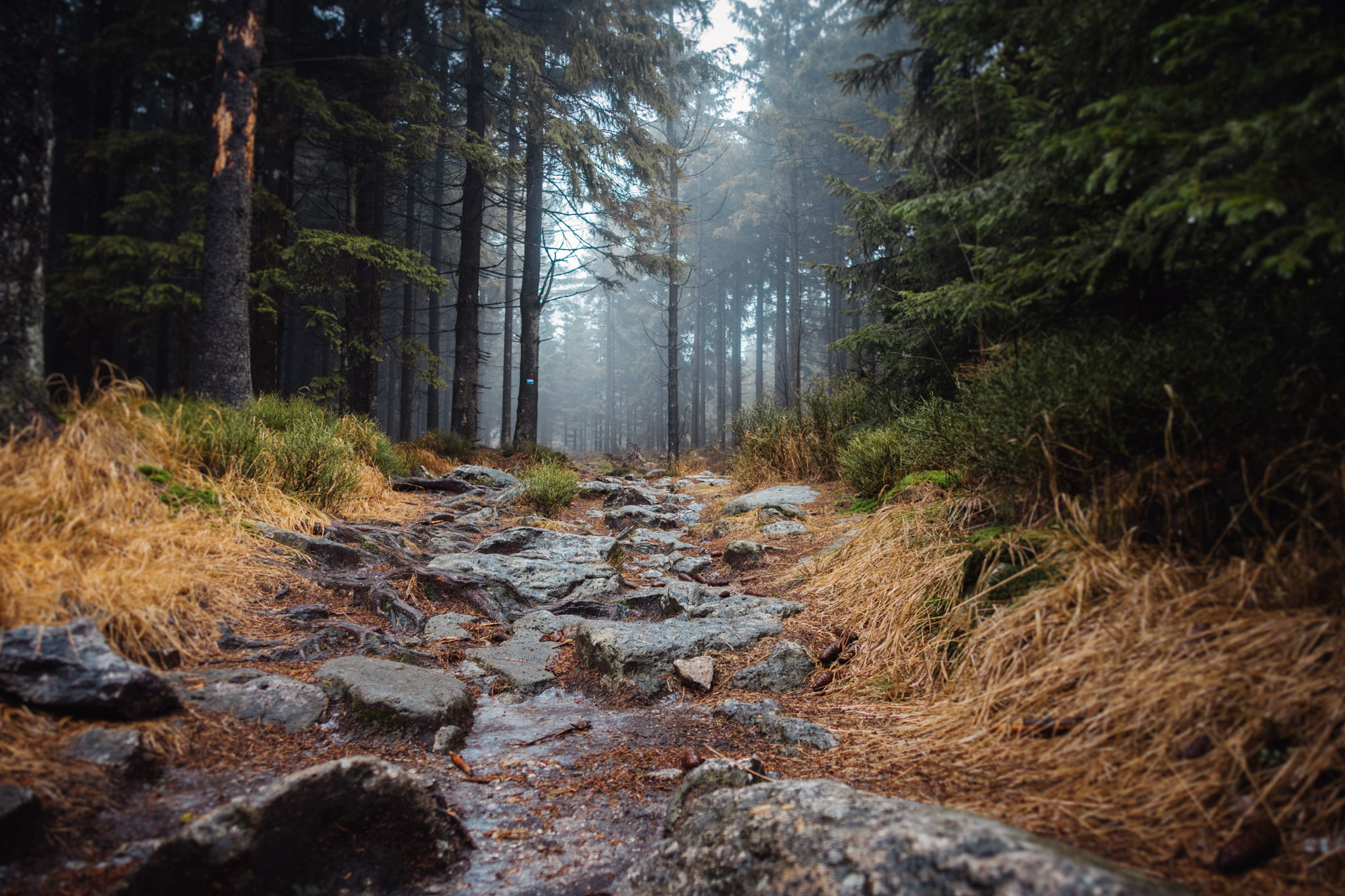 Fichtelgebirge Mountains
