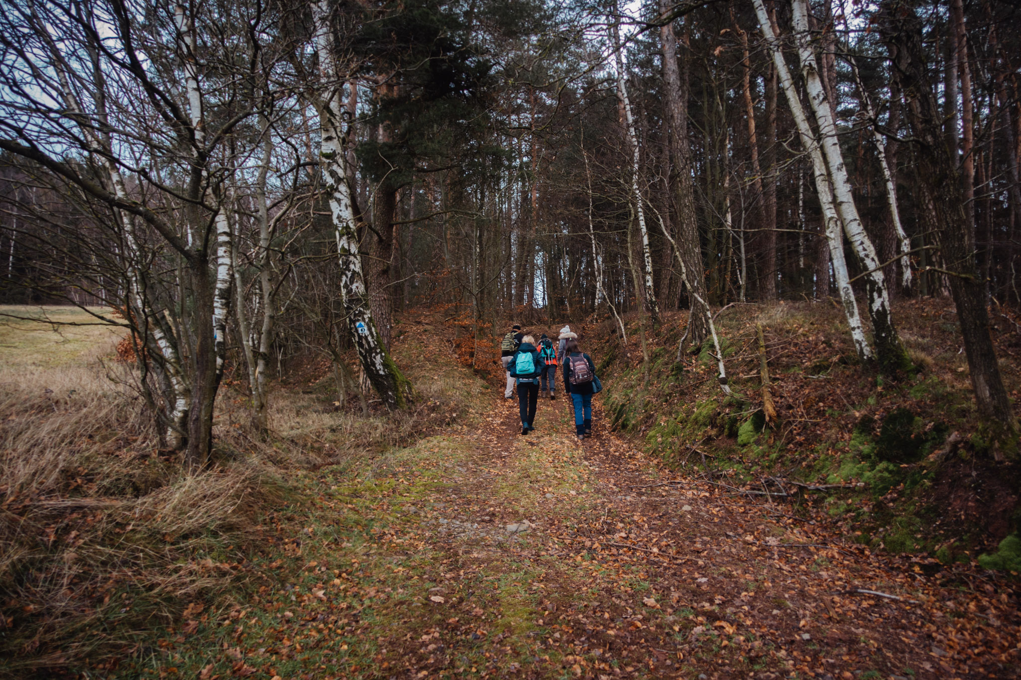 2020-01-18 Weidenberg-Ochsenkop-0010