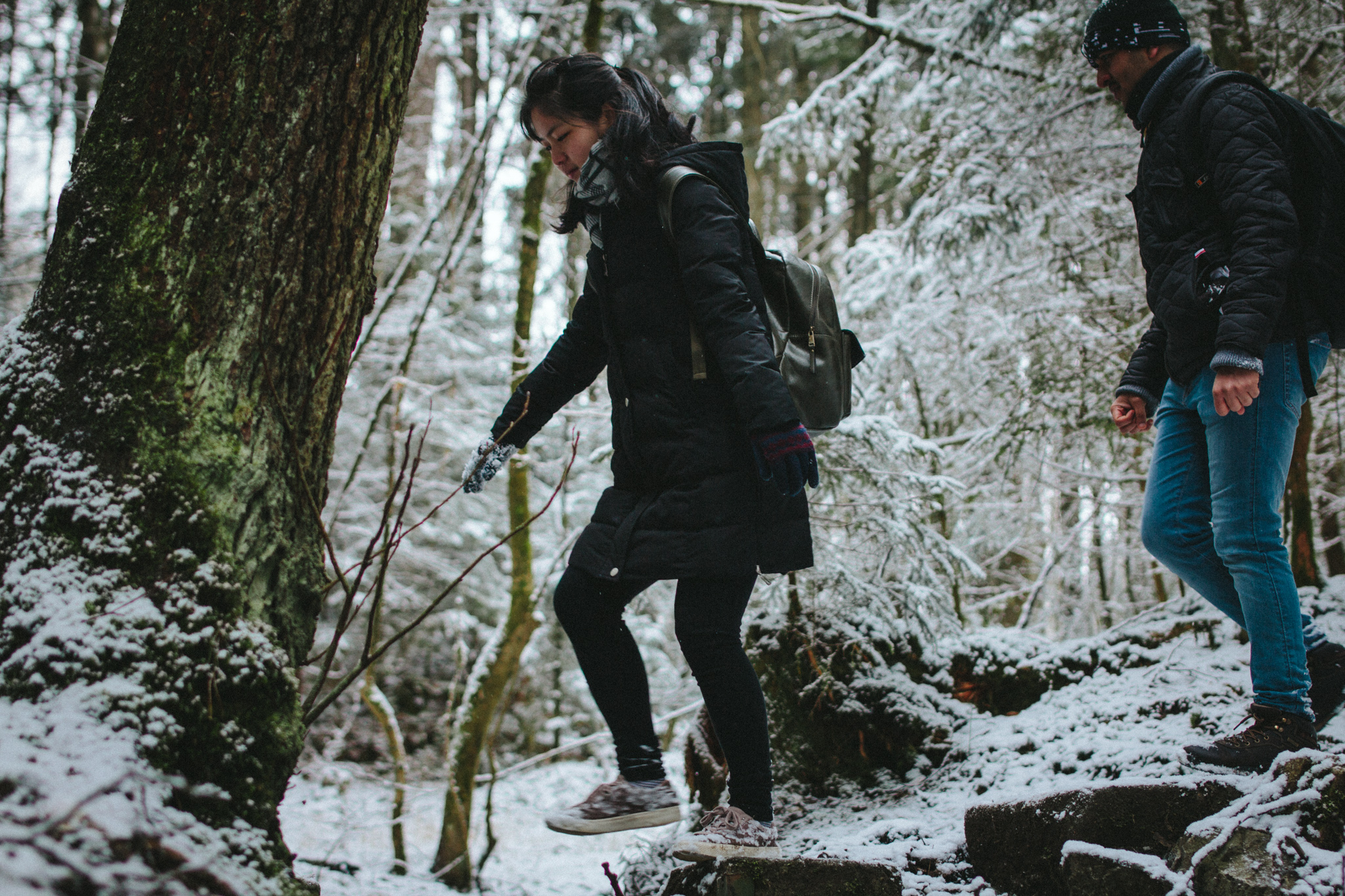 2018-03-17 Bayreuth Blueberry Forest-4758