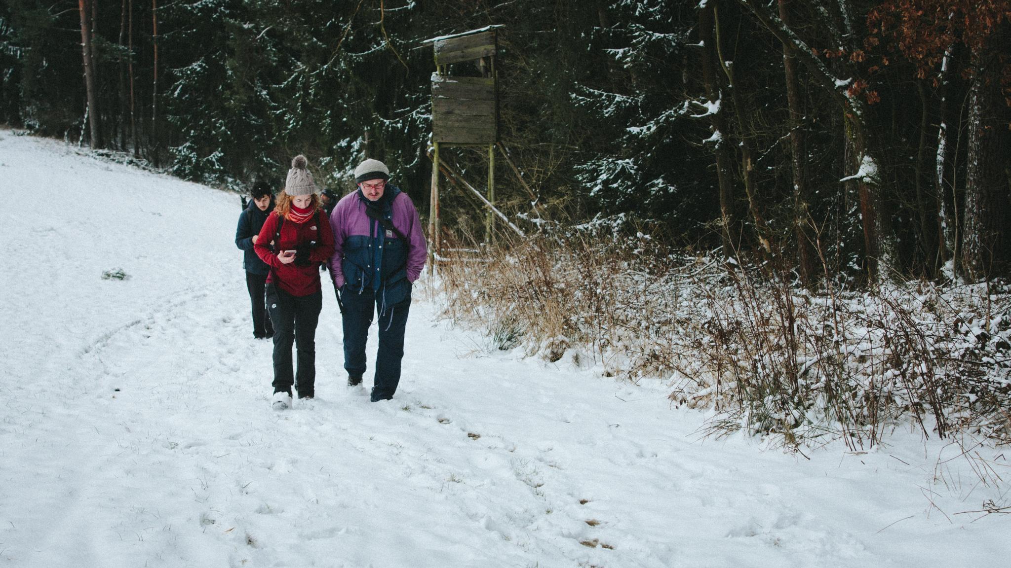 2018-03-17 Bayreuth Blueberry Forest-4763