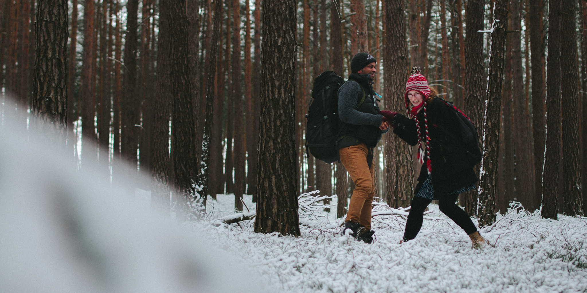 2018-03-17 Bayreuth Blueberry Forest-4773