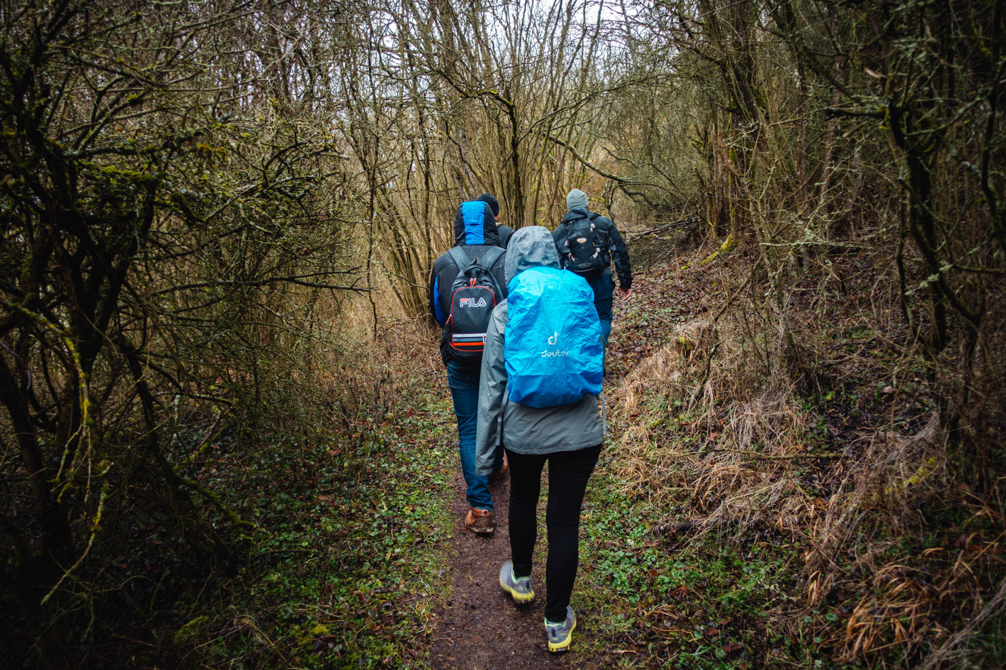 2020-02-02 Pegnitz kleiner Kulm-0004