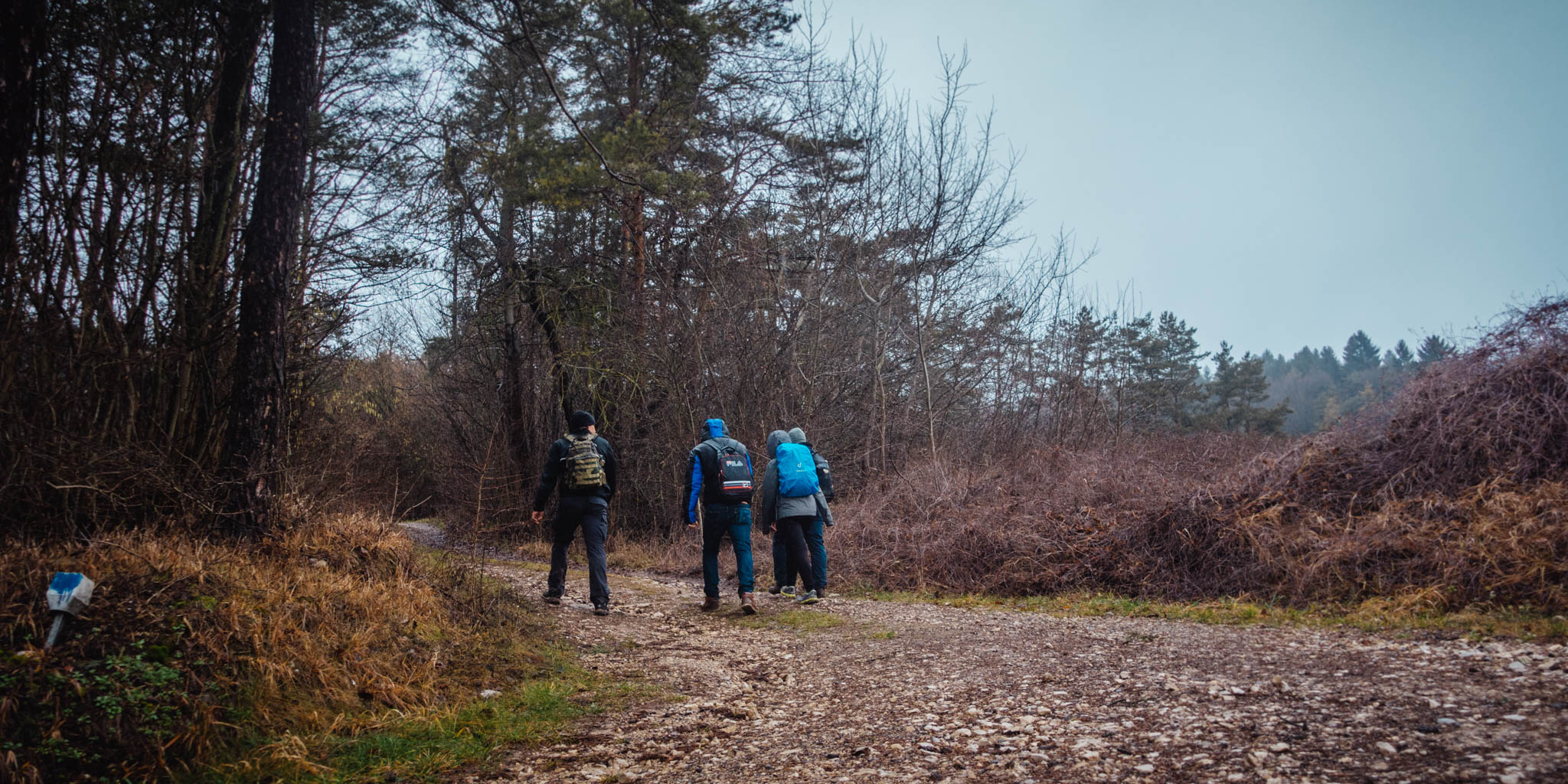 2020-02-02 Pegnitz kleiner Kulm-0019