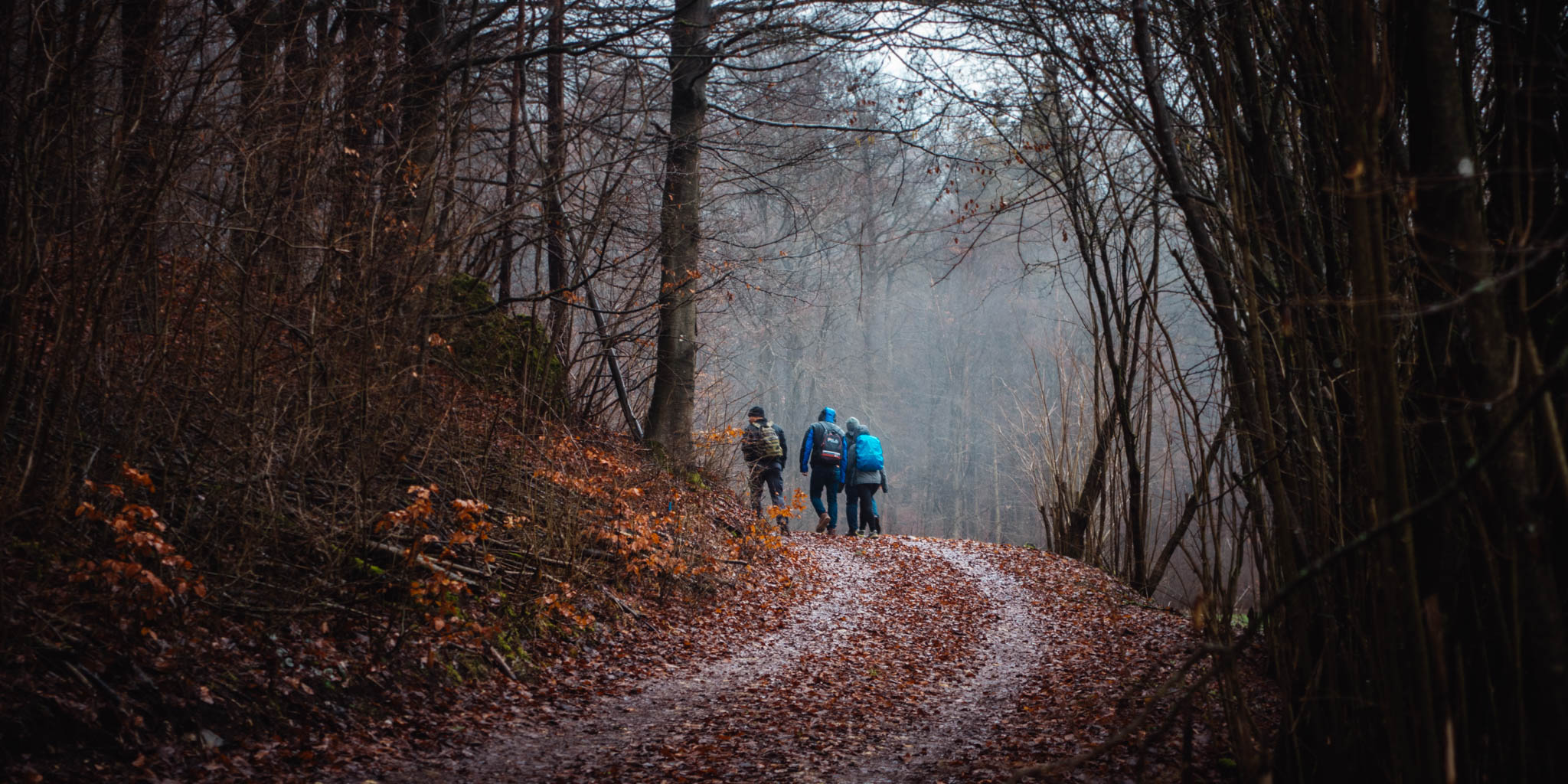 2020-02-02 Pegnitz kleiner Kulm-0026