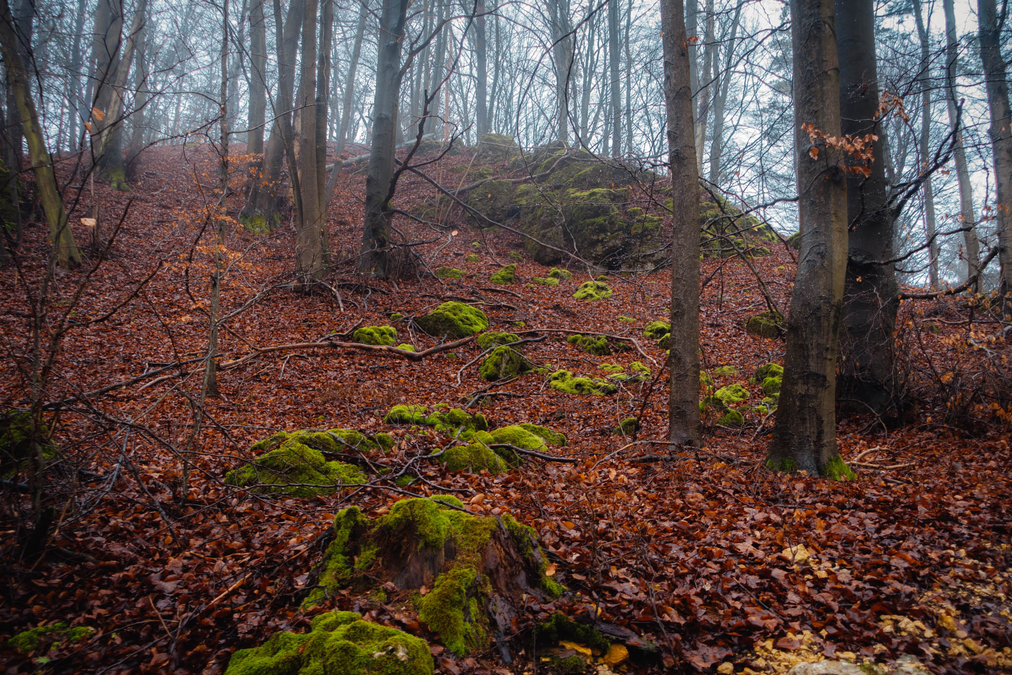 2020-02-02 Pegnitz kleiner Kulm-0027