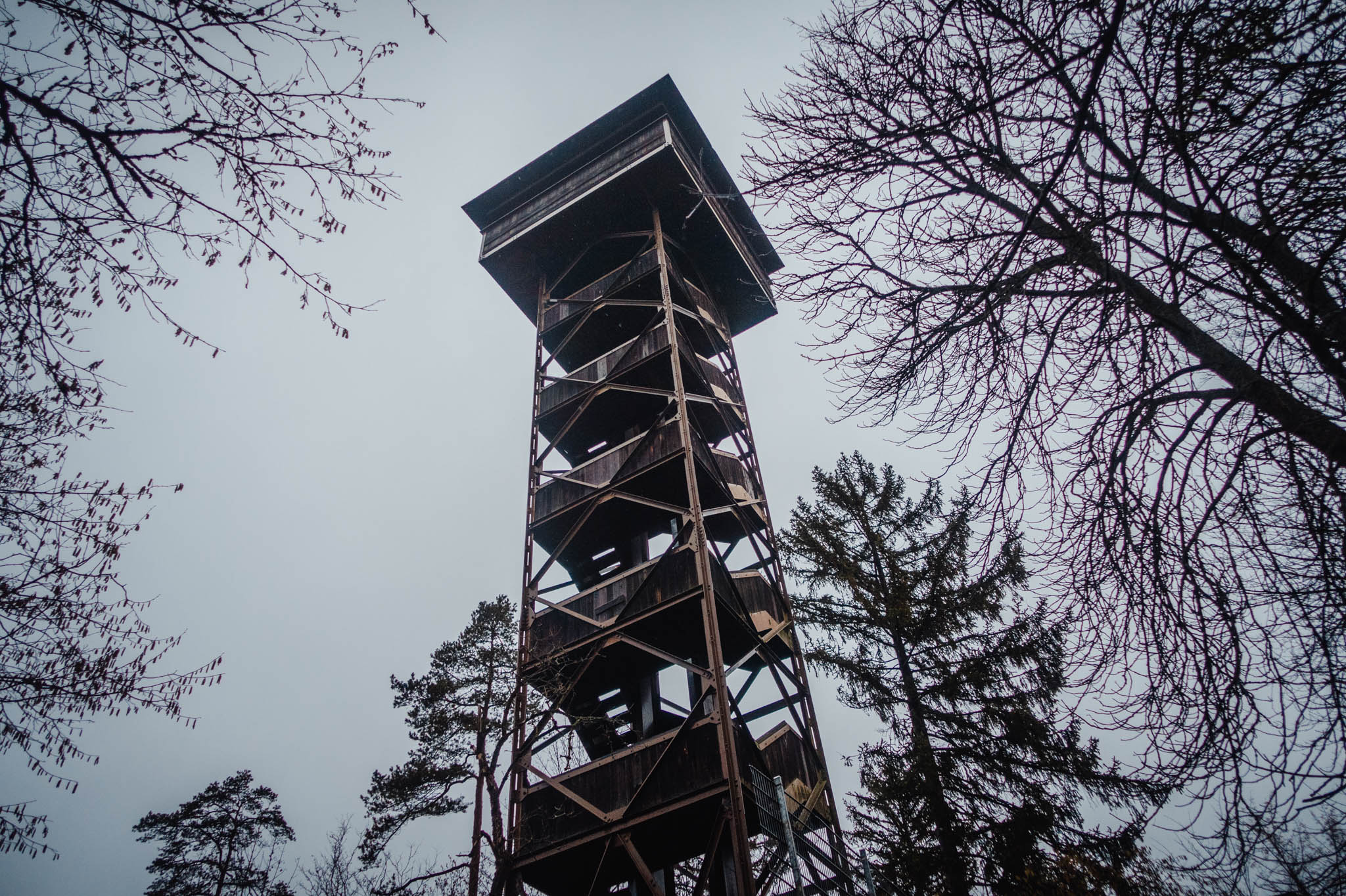 2020-02-02 Pegnitz kleiner Kulm-0112