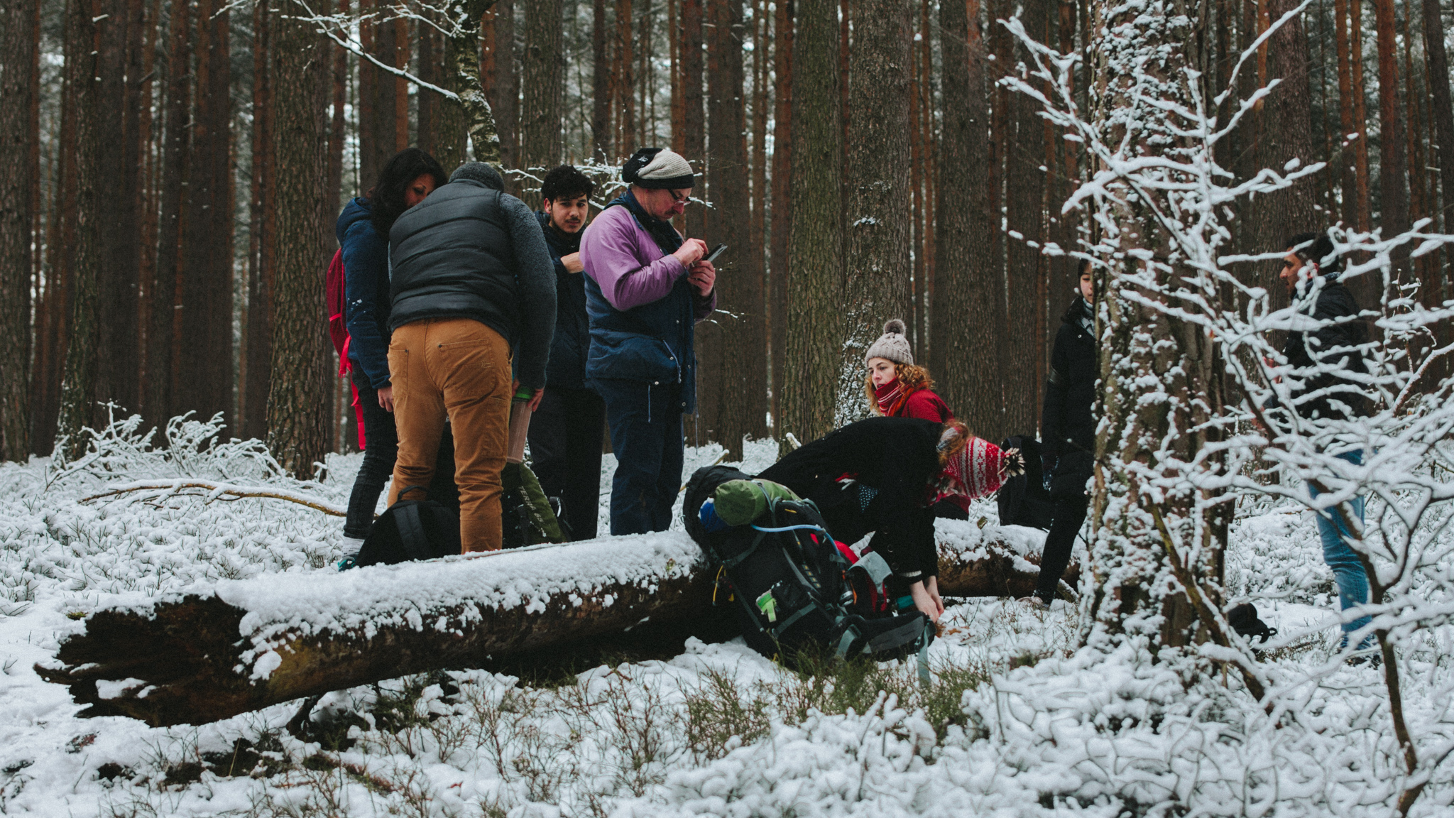 2018-03-17 Bayreuth Blueberry Forest-4787