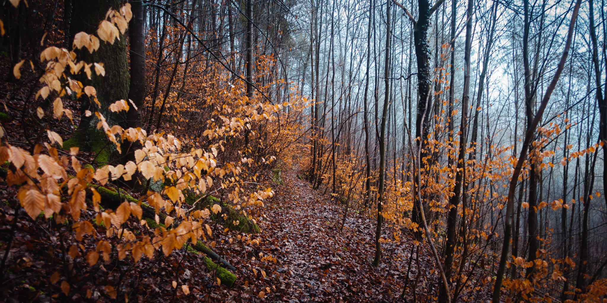 2020-02-02 Pegnitz kleiner Kulm-0155