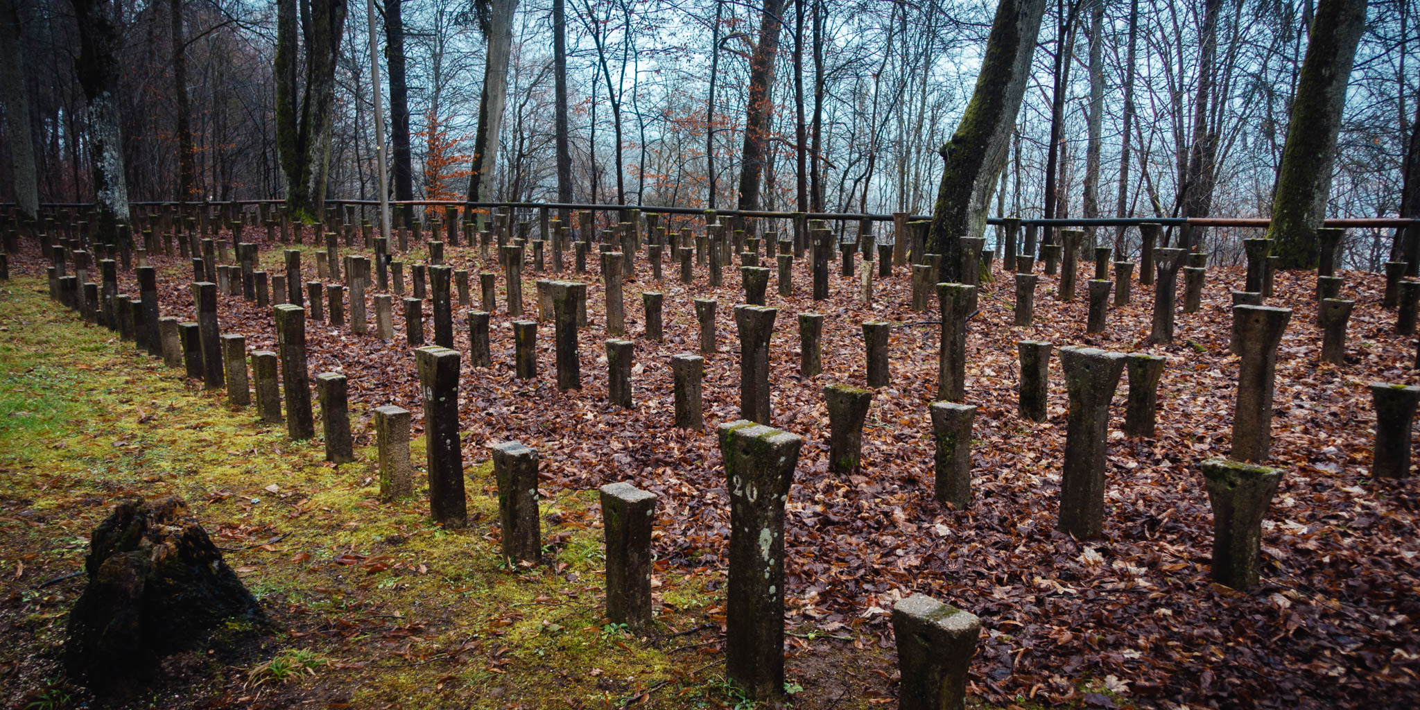 2020-02-02 Pegnitz kleiner Kulm-0160