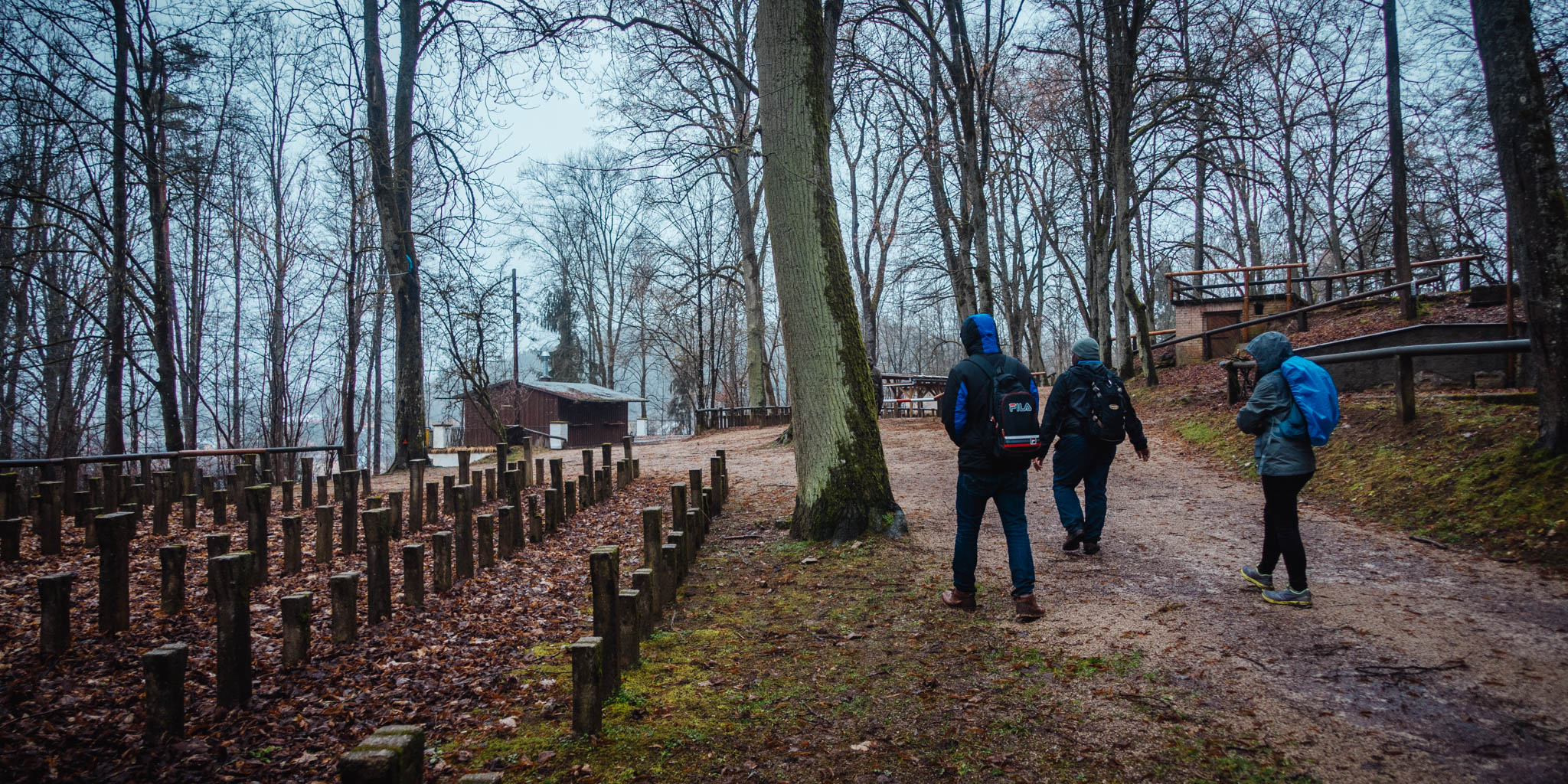 2020-02-02 Pegnitz kleiner Kulm-0164