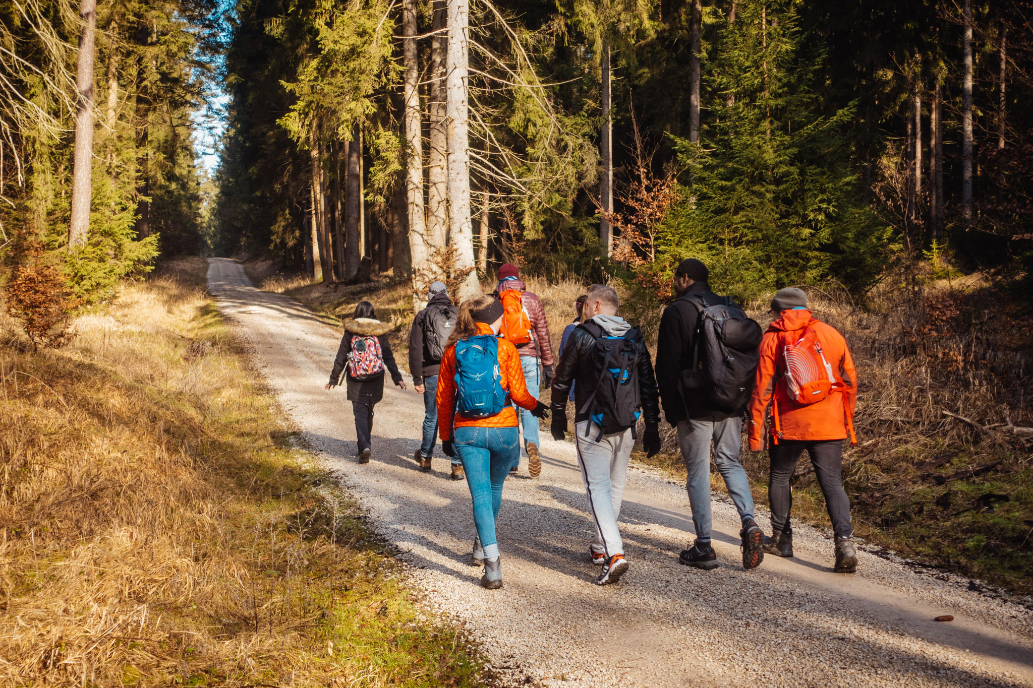 2020-02-09 Neuhaus to Pegnitz-0019