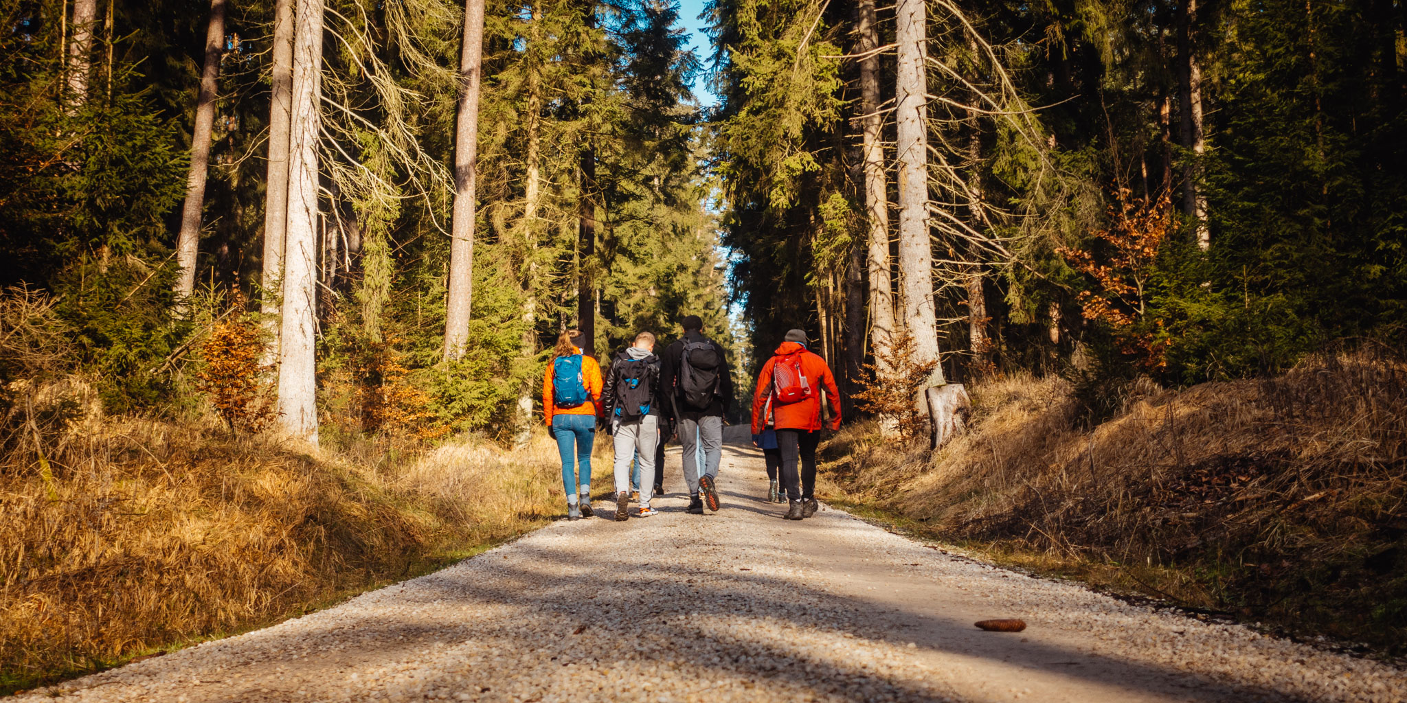 2020-02-09 Neuhaus to Pegnitz-0021