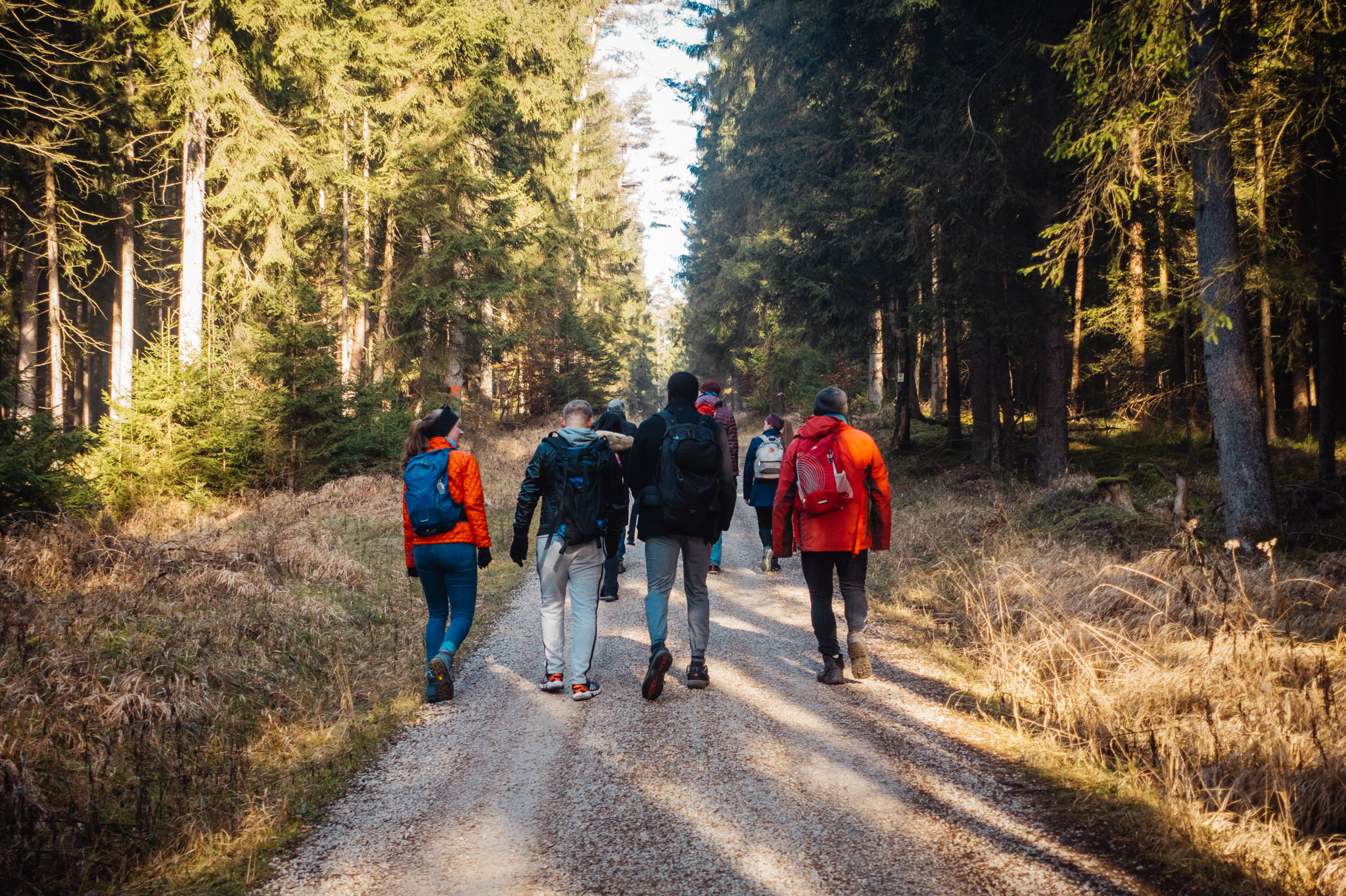 2020-02-09 Neuhaus to Pegnitz-0022