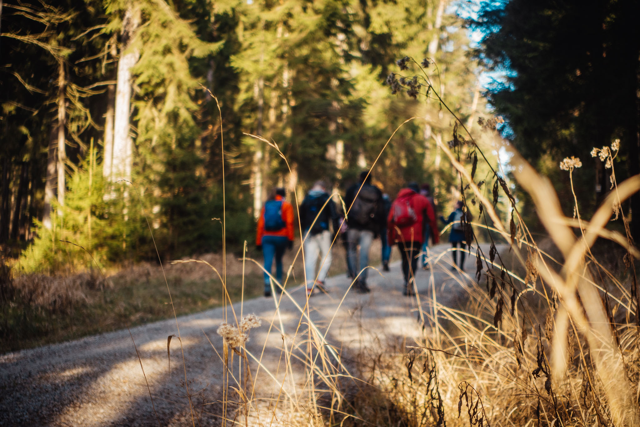 2020-02-09 Neuhaus to Pegnitz-0024