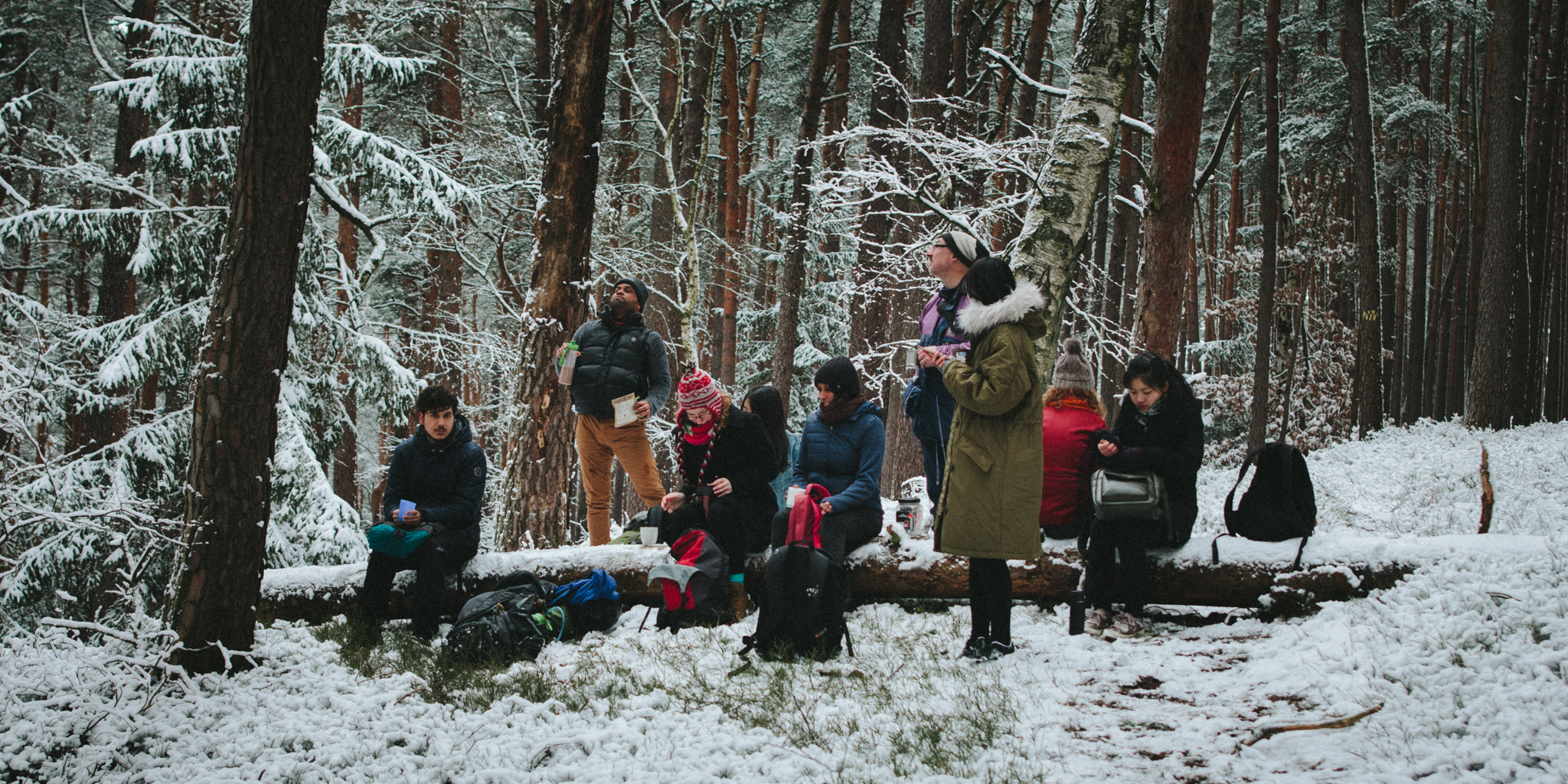 2018-03-17 Bayreuth Blueberry Forest-4796