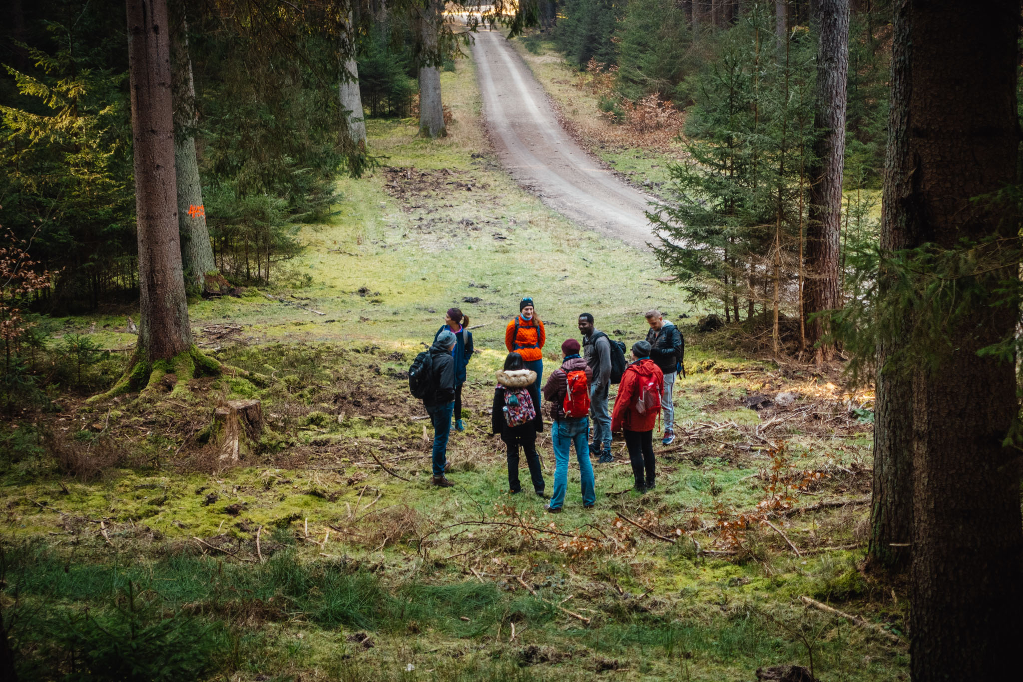2020-02-09 Neuhaus to Pegnitz-0046