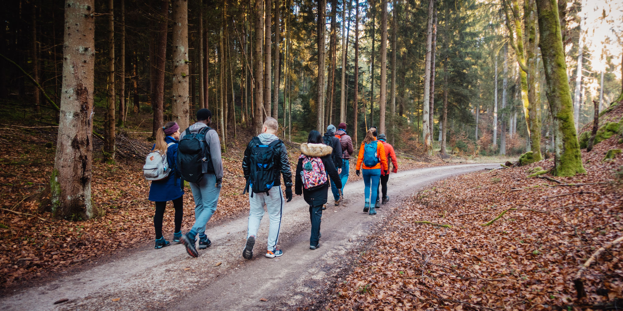2020-02-09 Neuhaus to Pegnitz-0061