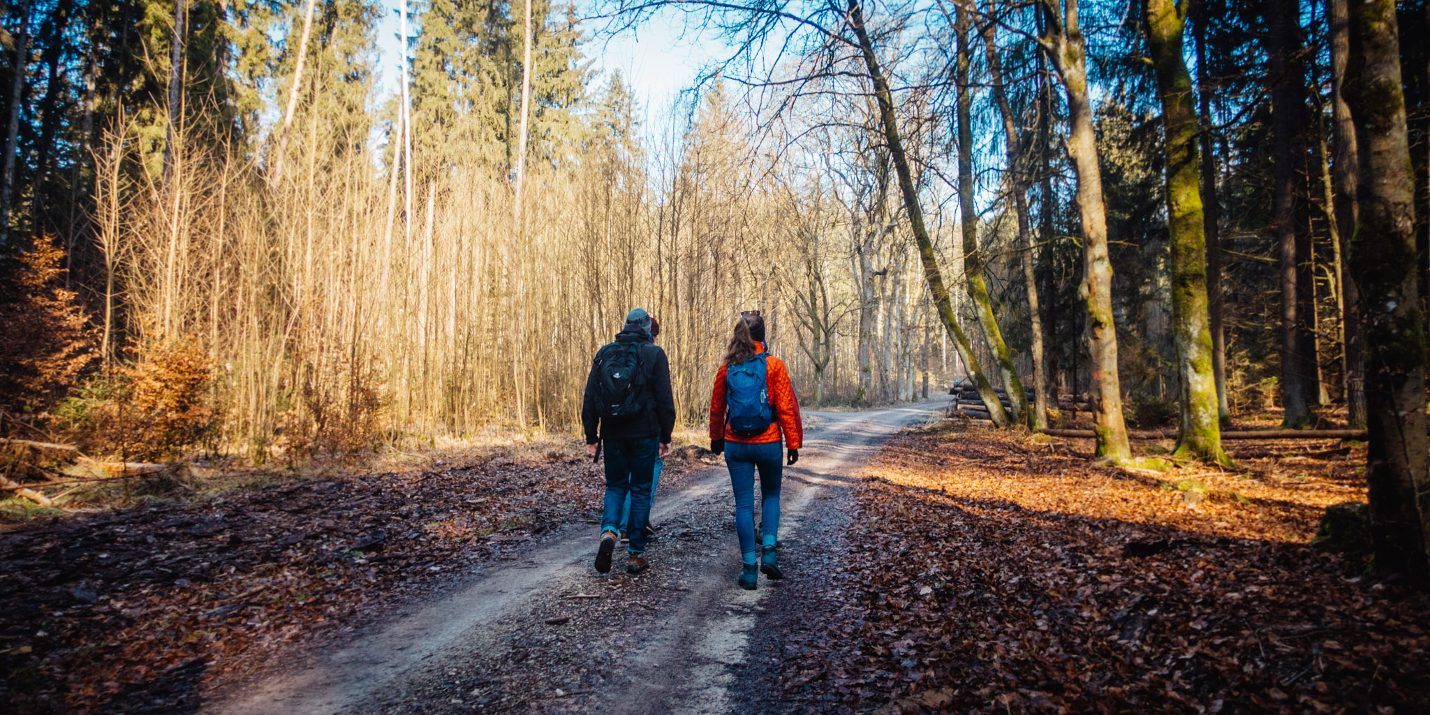 2020-02-09 Neuhaus to Pegnitz-0063