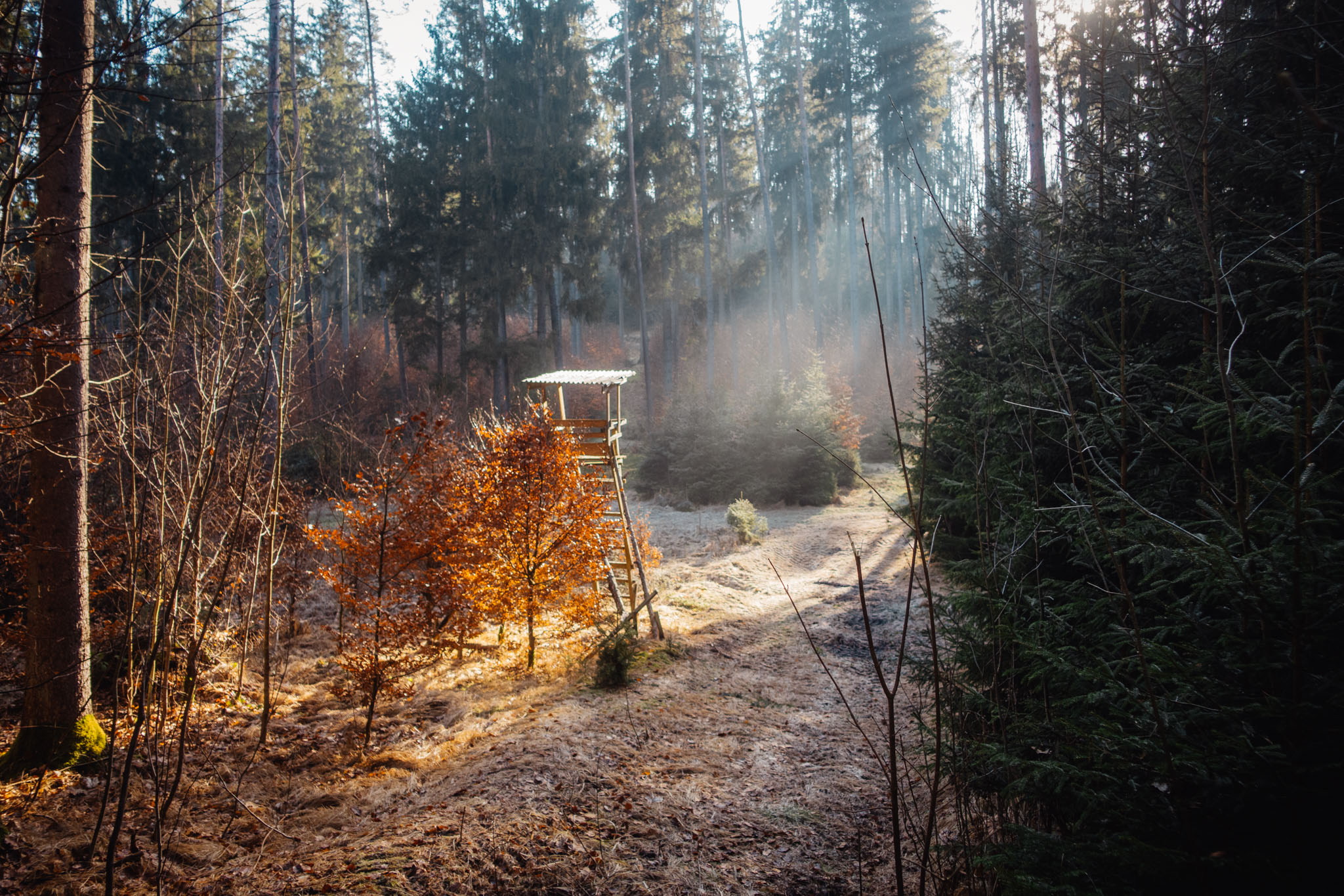 2020-02-09 Neuhaus to Pegnitz-0066